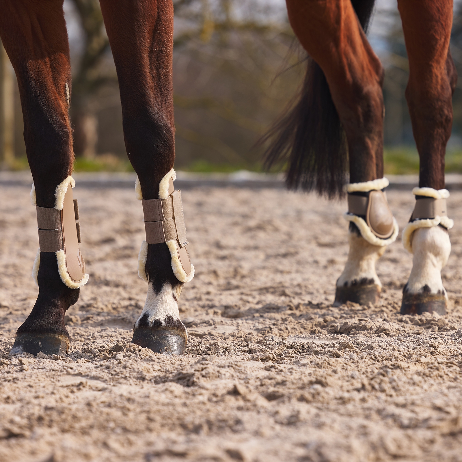 Protectores de Tendón con Revestimiento de Piel Sintético Horze Windsor