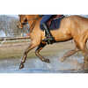 Kentucky Horsewear Saddle Pad Absorber
