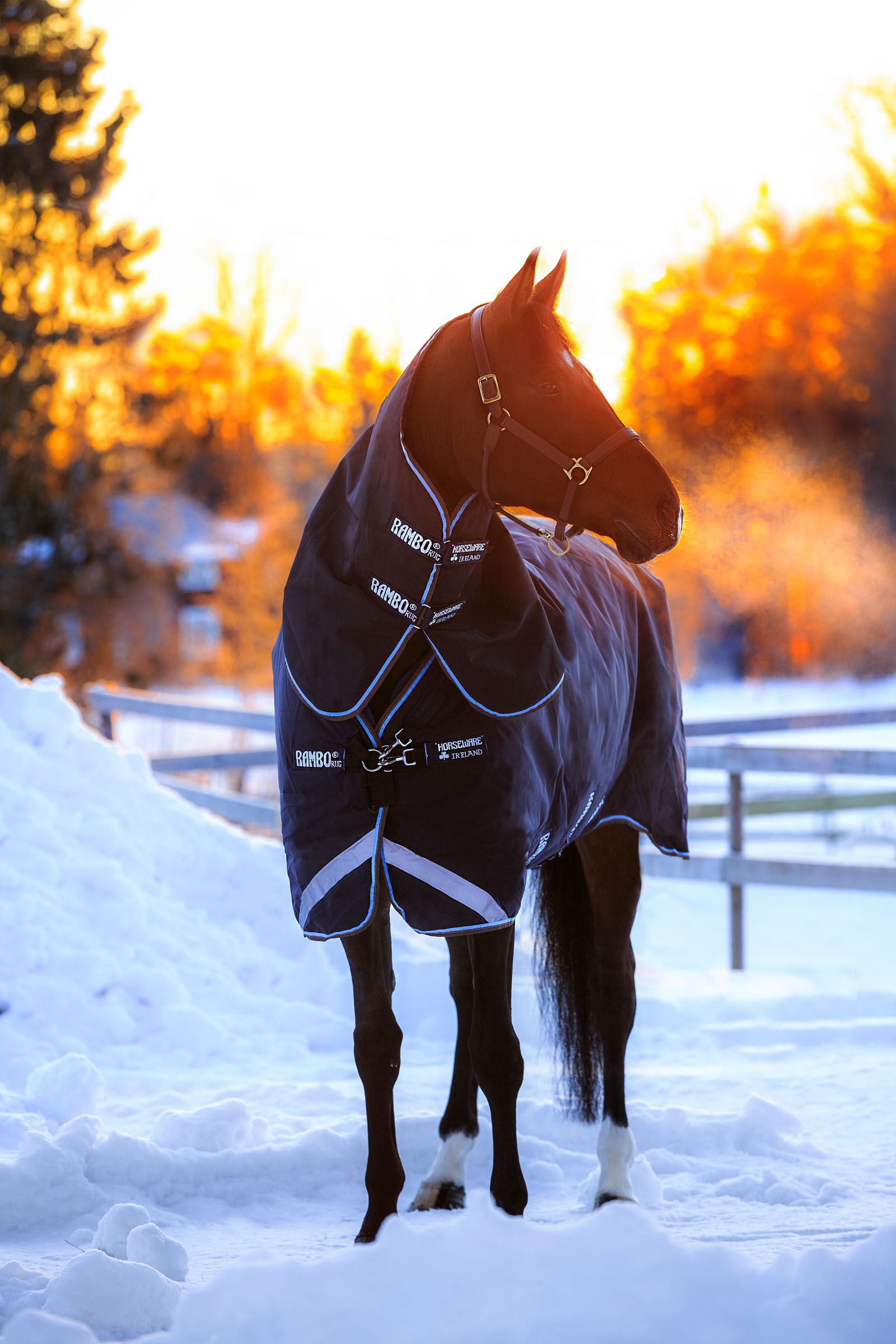 Horseware Rambo Duo Desvío incl. Capucha Desmontable, 100g