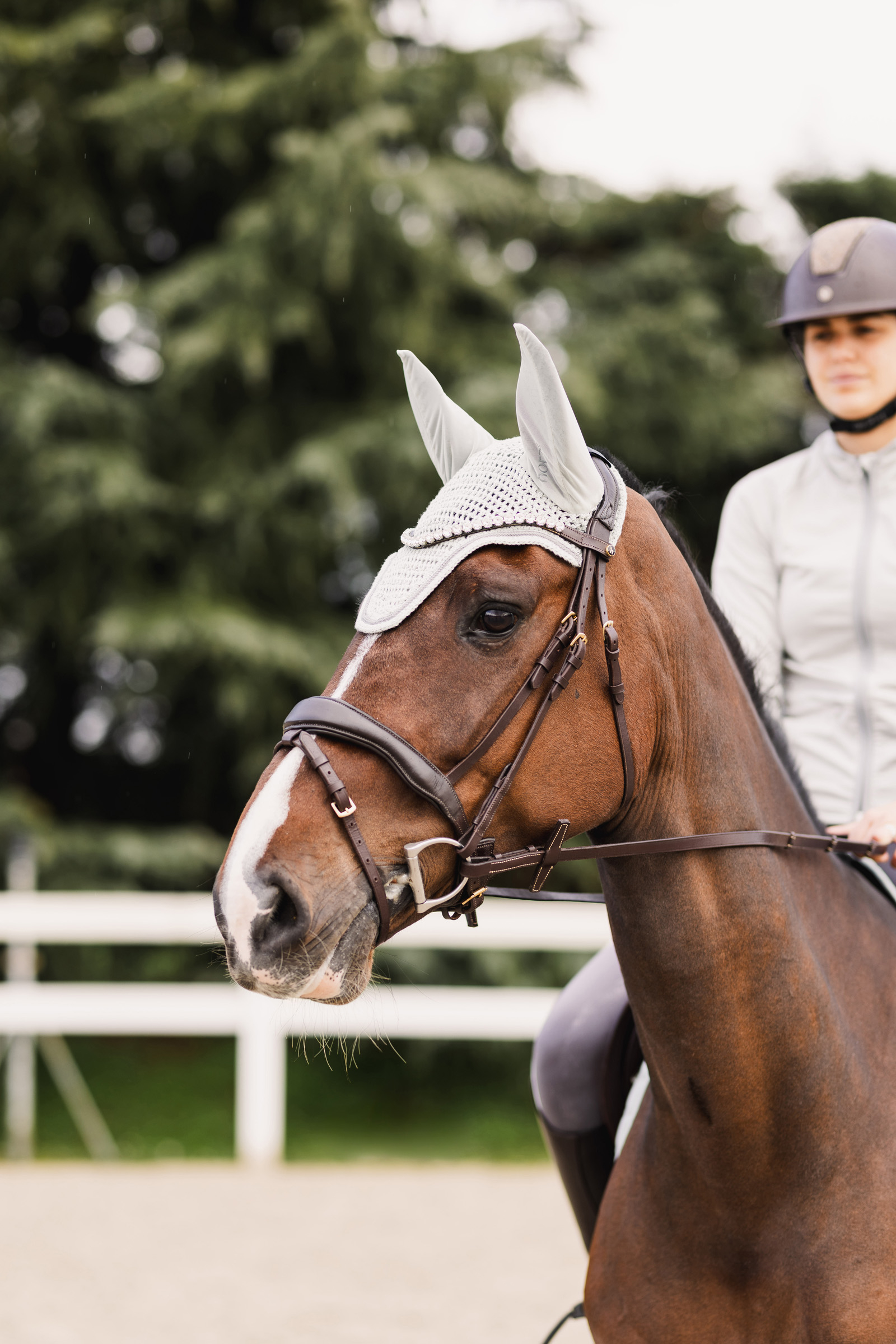 Orejeras Horze Rose Tonique