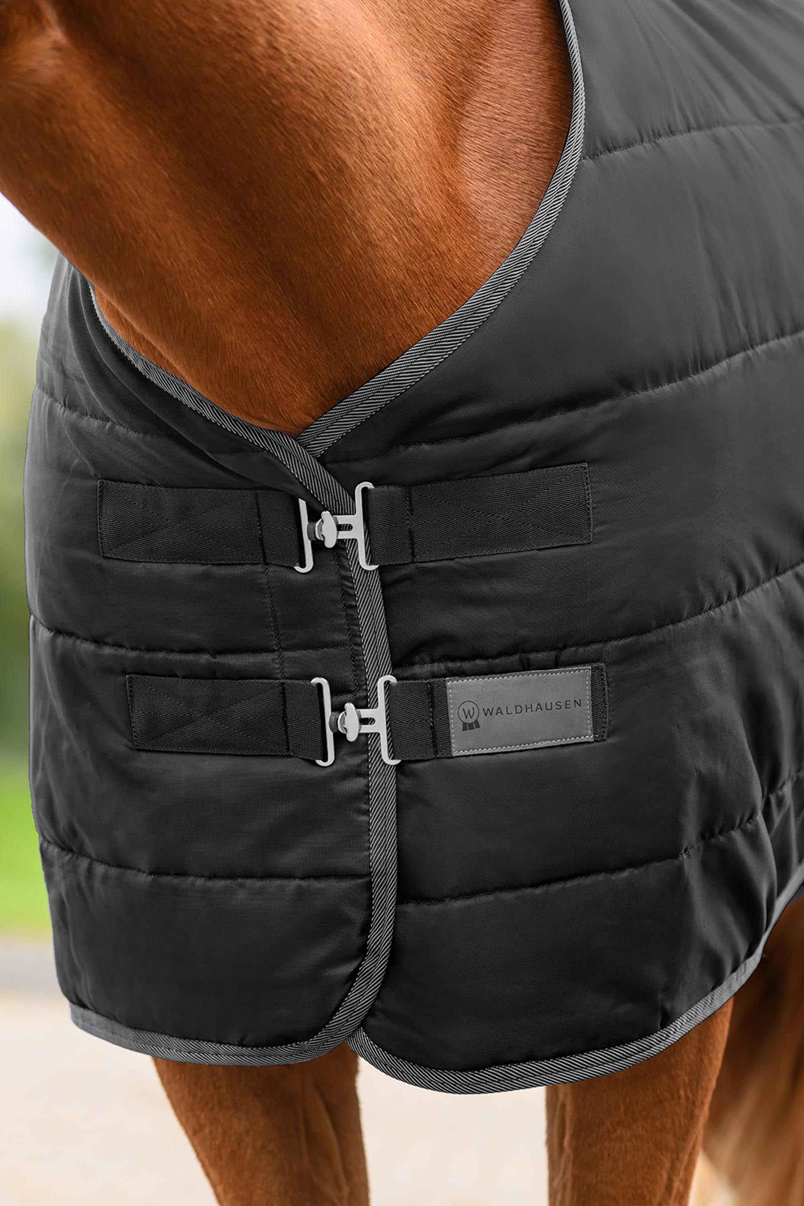 Waldhausen ECONOMIC manta de establo, 100g