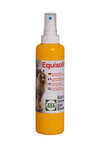 Stassek Equisolid Frog and Sole Lotion with Sprayer, 250 ml