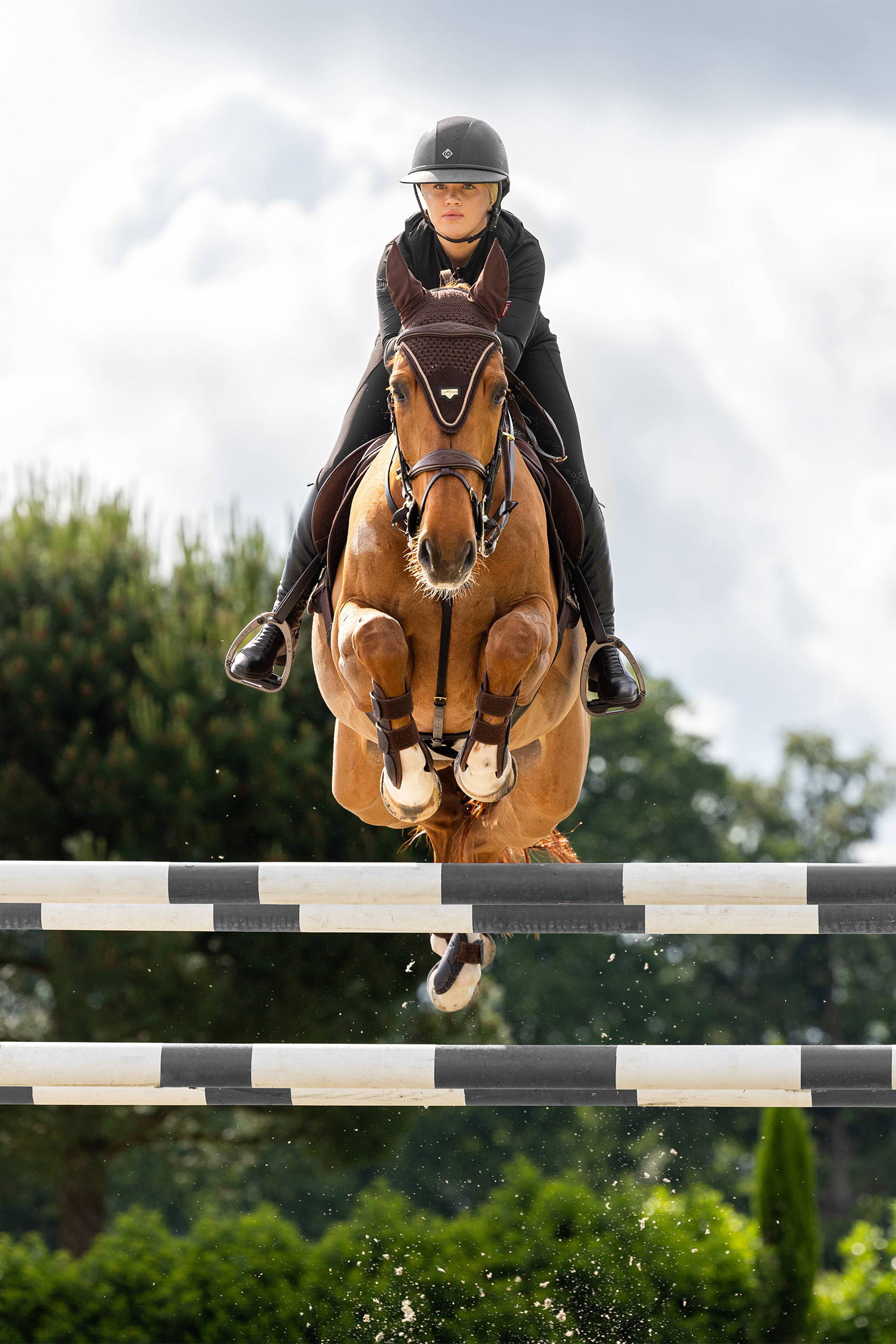 LeMieux Puissance Orejeras