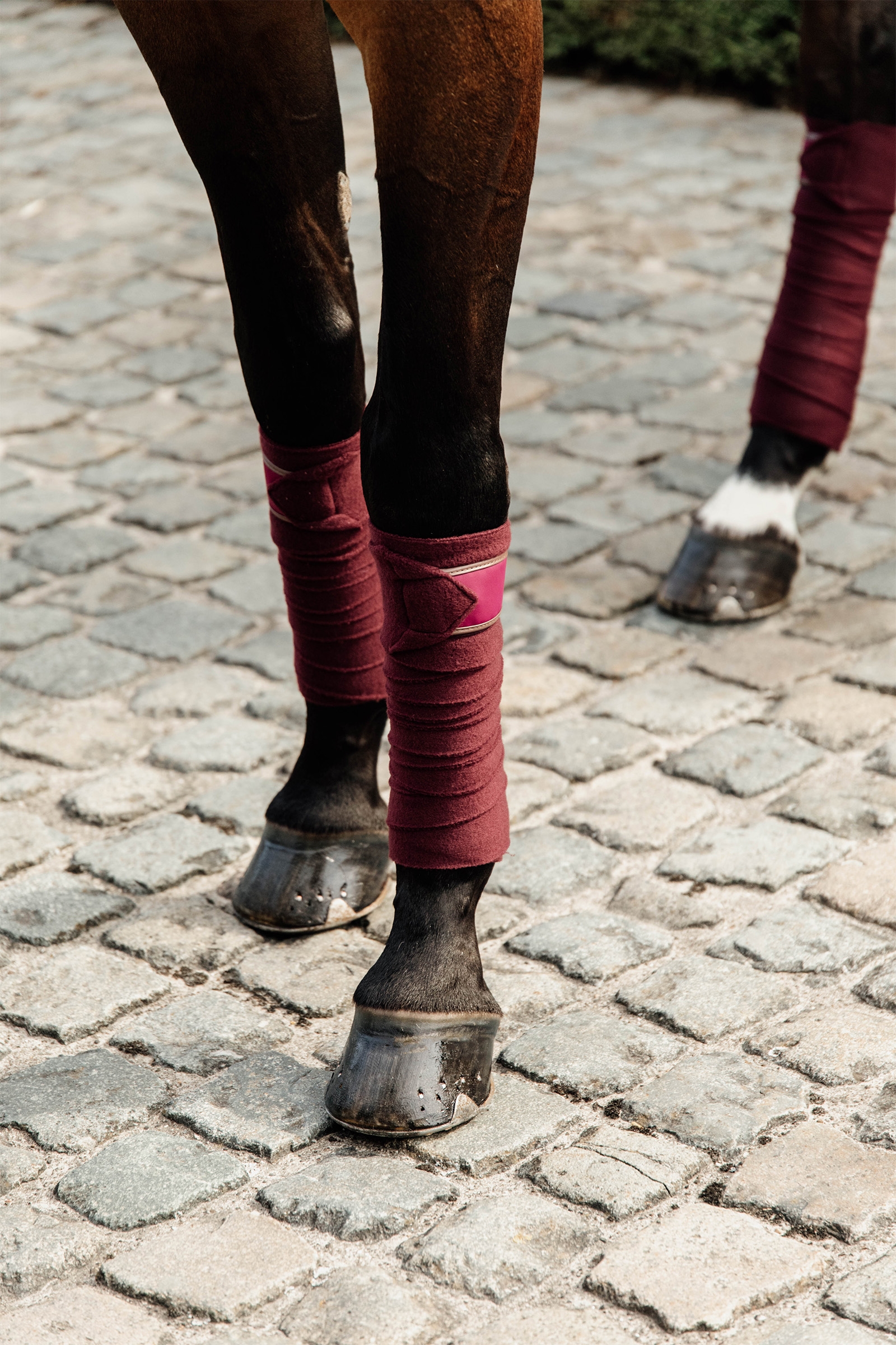 Polos de forro polar Kentucky Horsewear