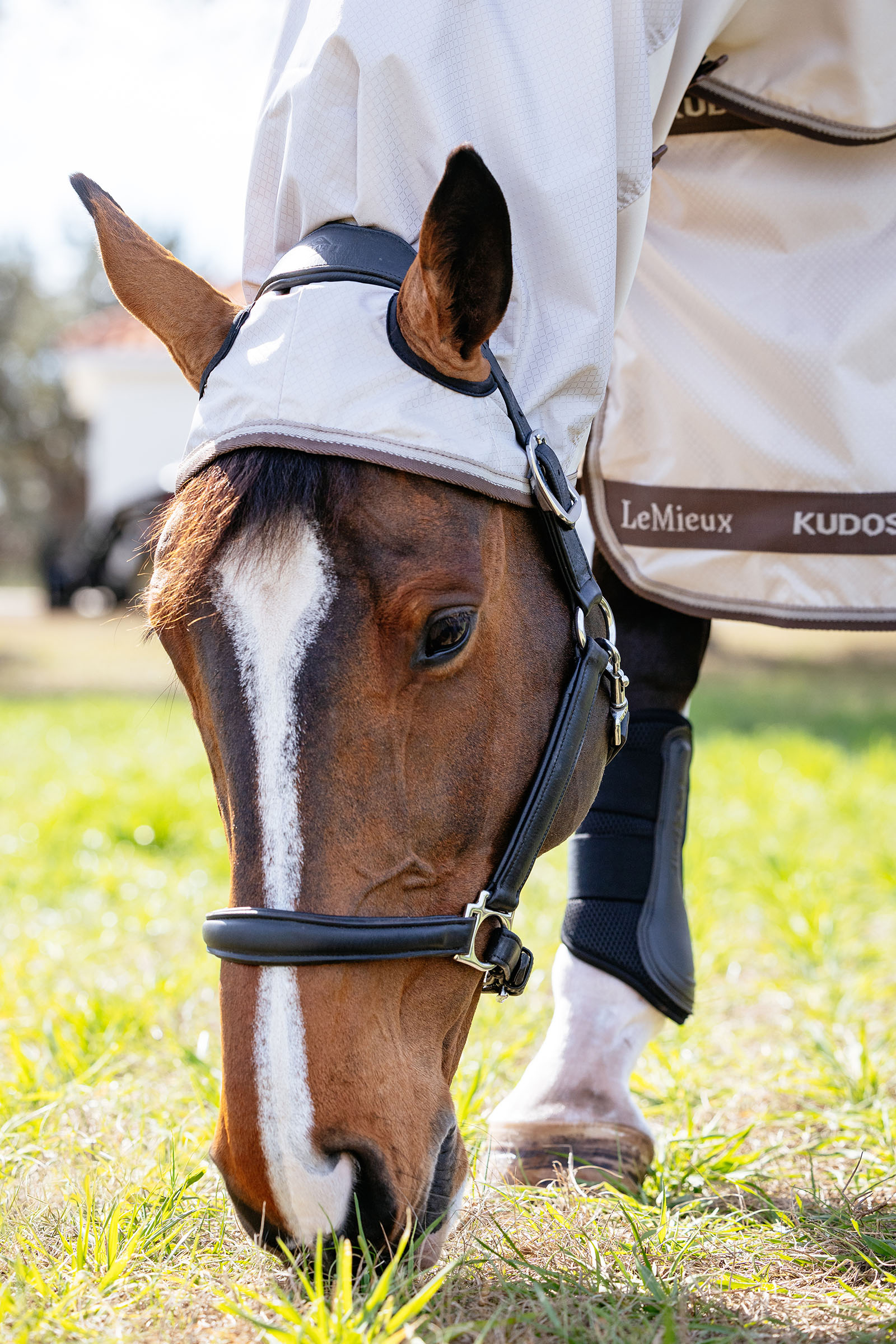 LeMieux Kudos Shower Pro manta anti-eccema con cuello desmontable