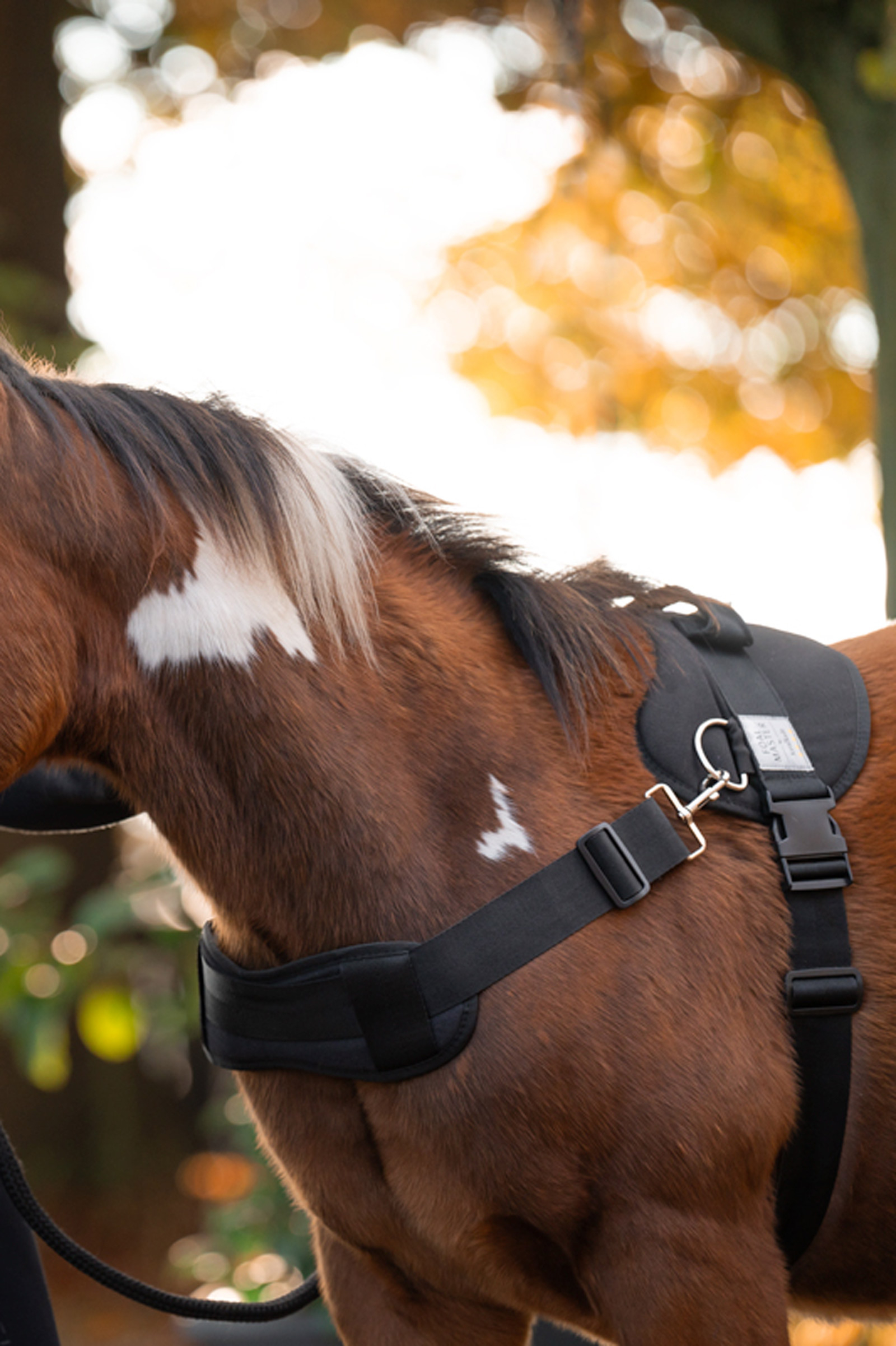 Kavalkade Foalmaster Arnés para potros con asa