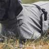 Abrigo para Perro Uso General Back on Track Nella, 25-35cm