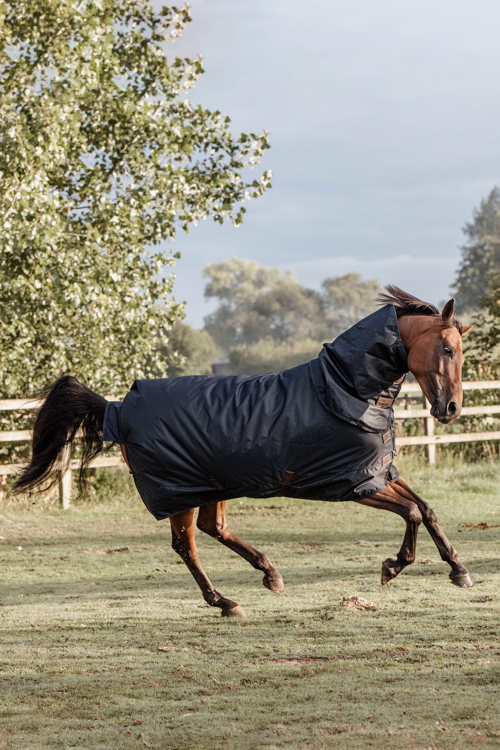 Kentucky Horsewear Classic Manta de Exterior impermeable para todo tipo de clima, 150g