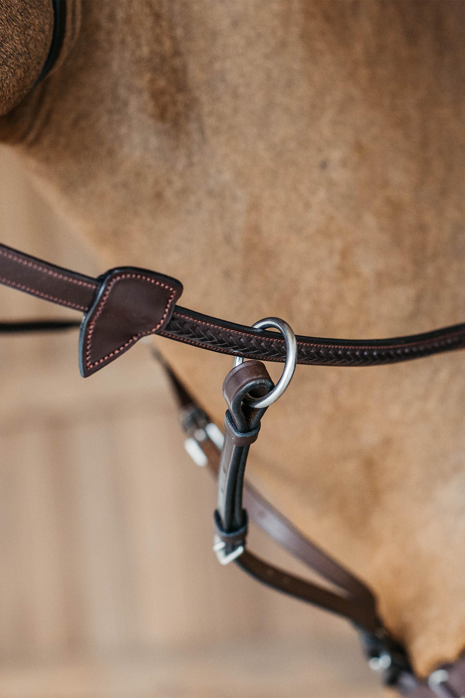 Dy'on New English riendas de goma (13 mm), trenzadas con 7 topes de cuero