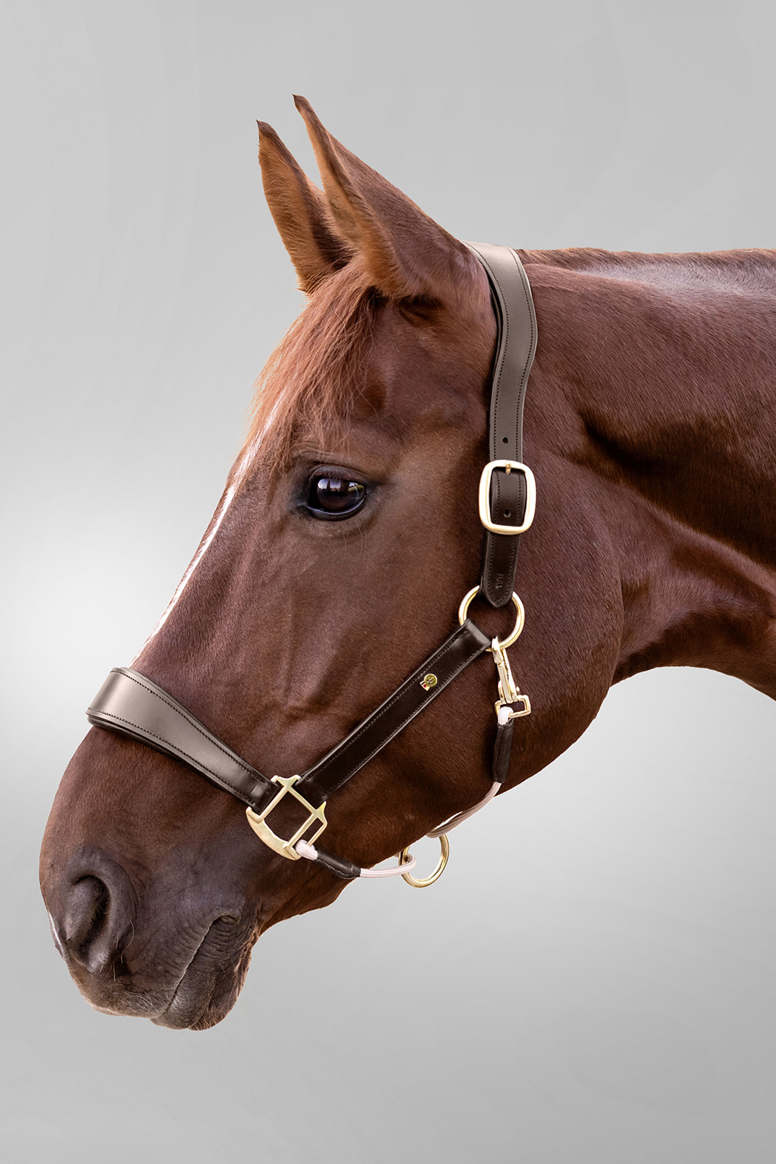 Royal Waldhausen S-Line cabezada de cuero