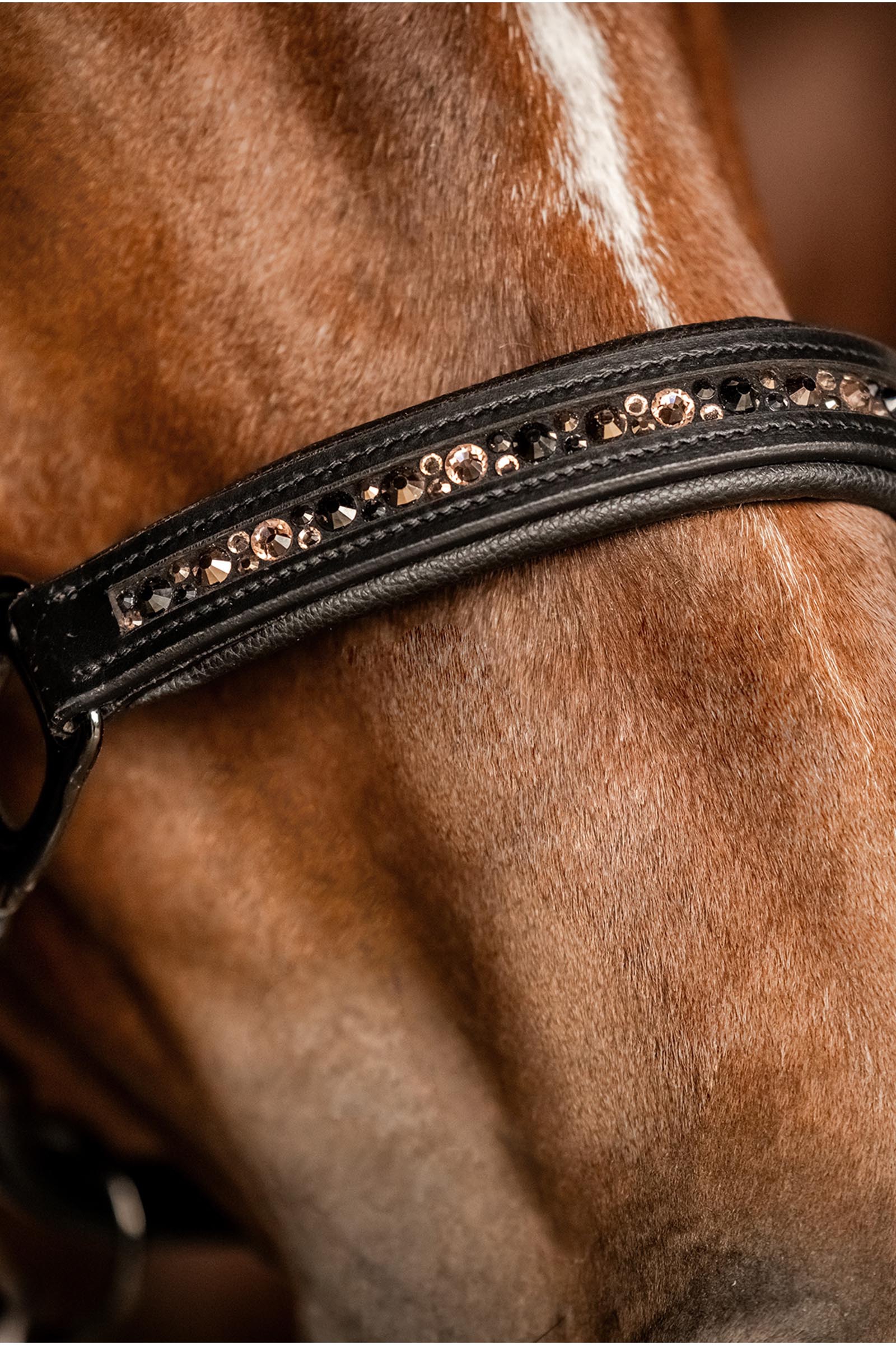 Waldhausen X-Line Crystal Cabezada de cuero