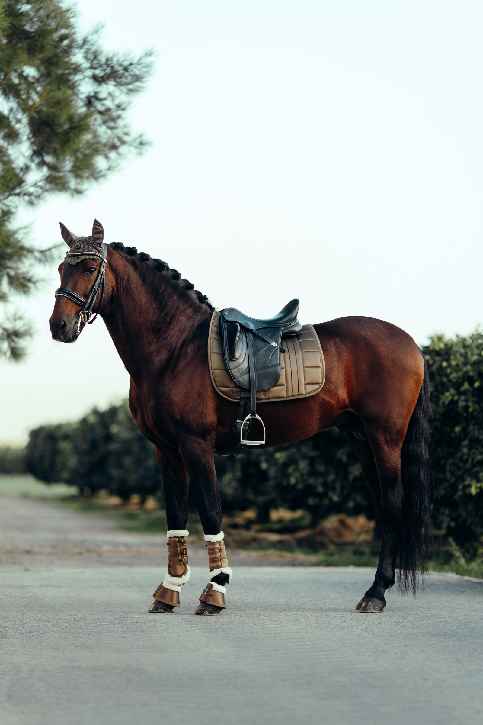 Mantilla de Doma B Vertigo Drew