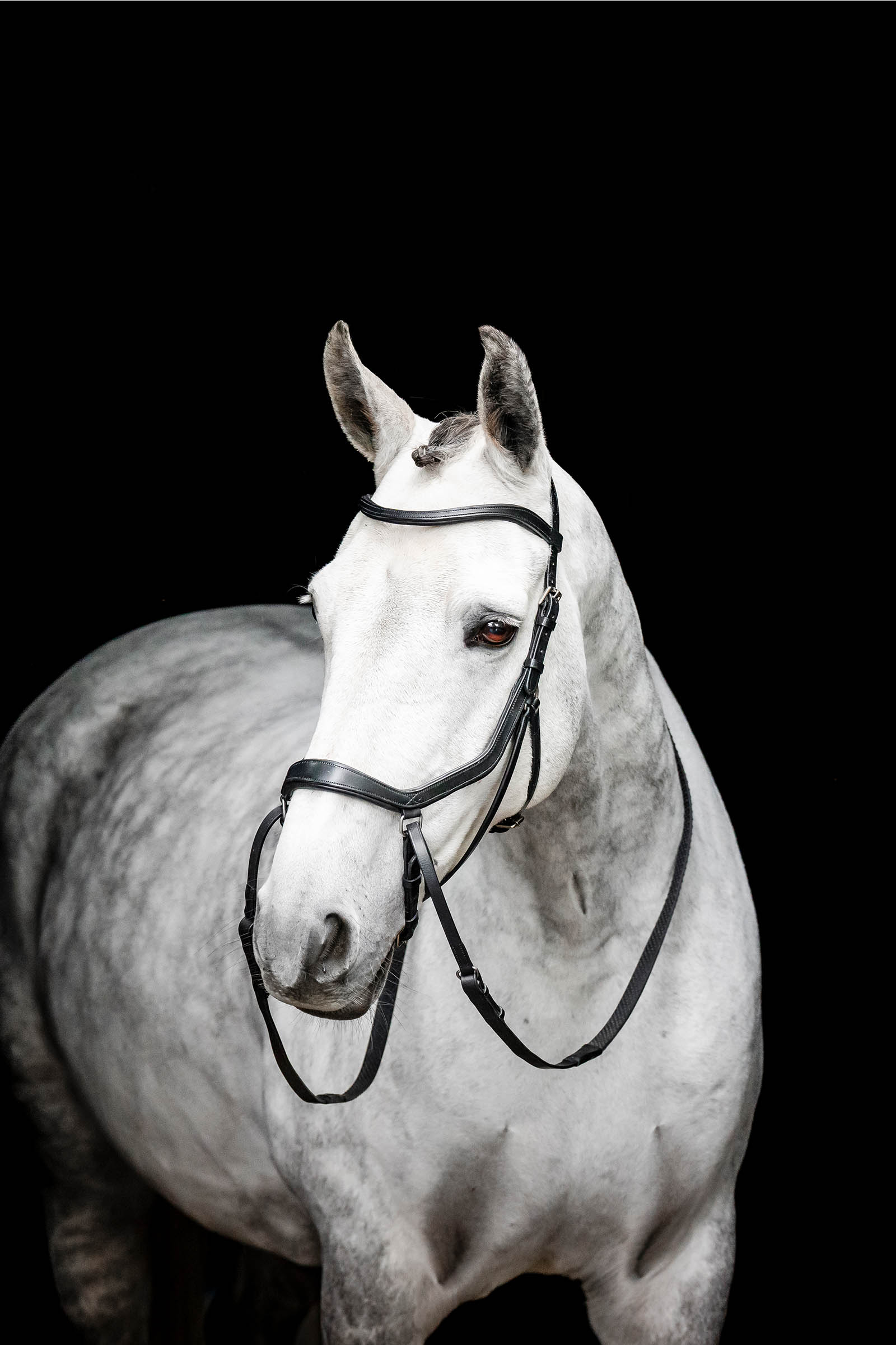 Black Horseware Micklem cabezada sin bocado