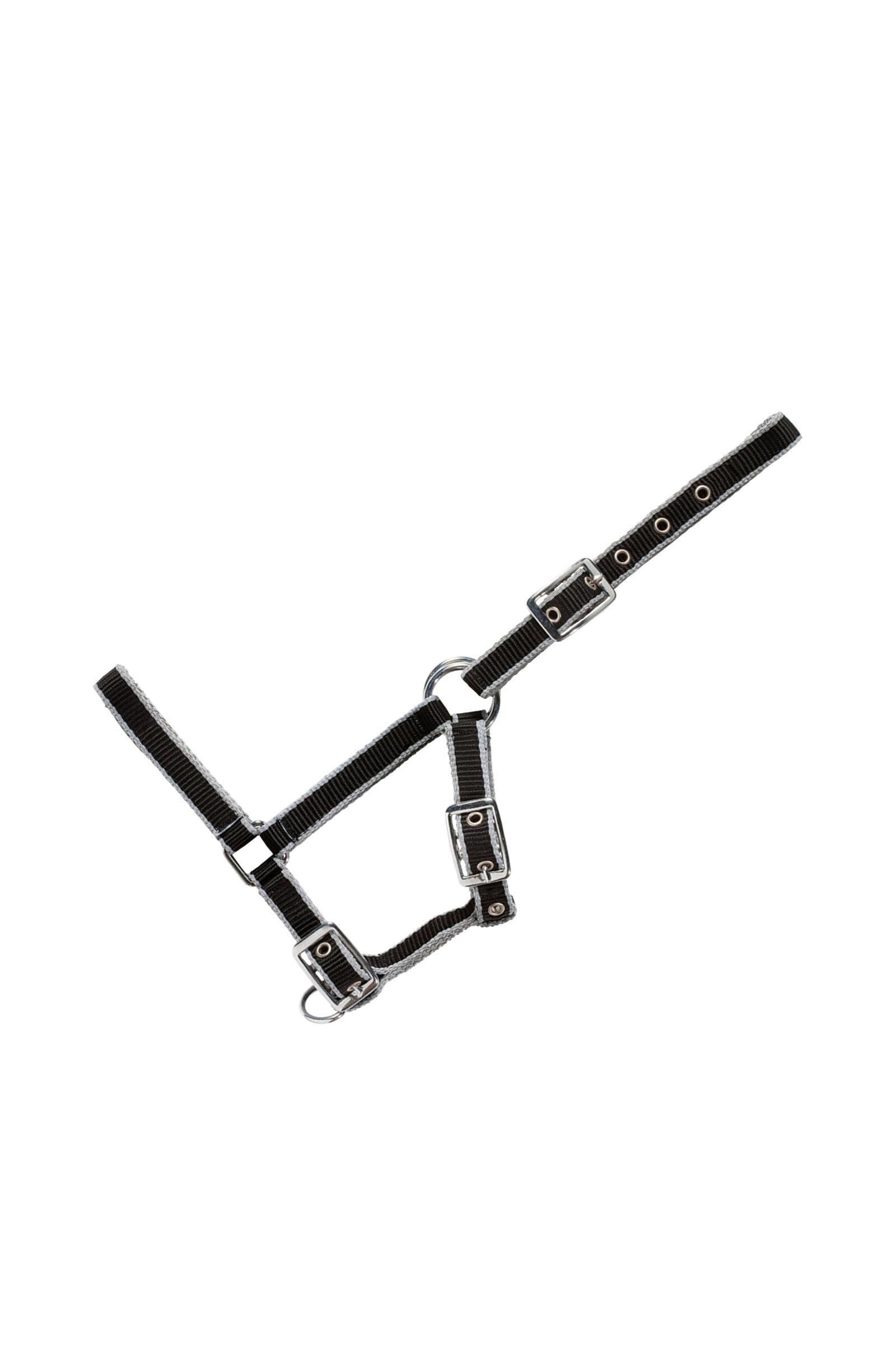 Black/Grey USG cabezada ajustable para potros