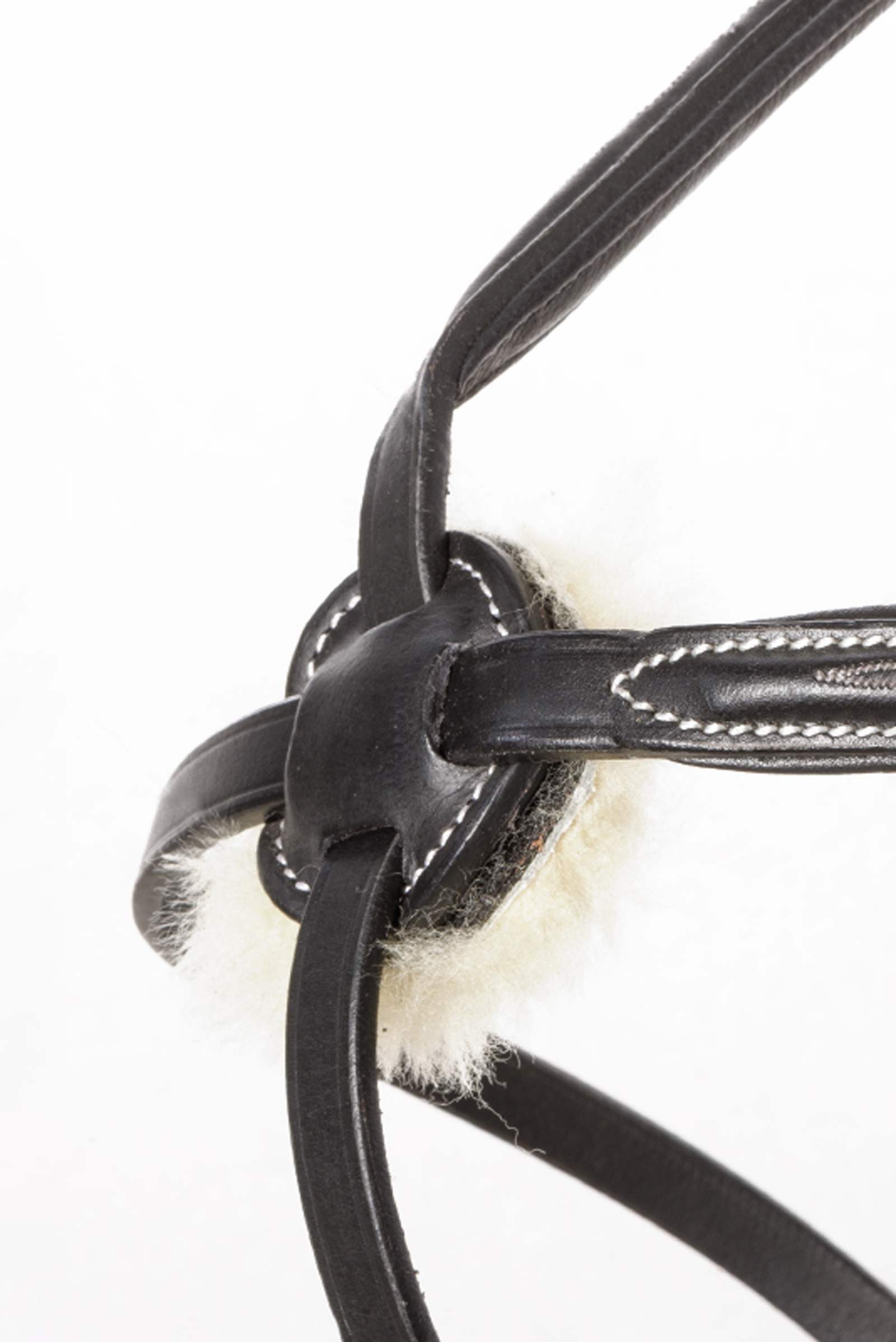 Kavalkade Diandro Cabezada Mexicana