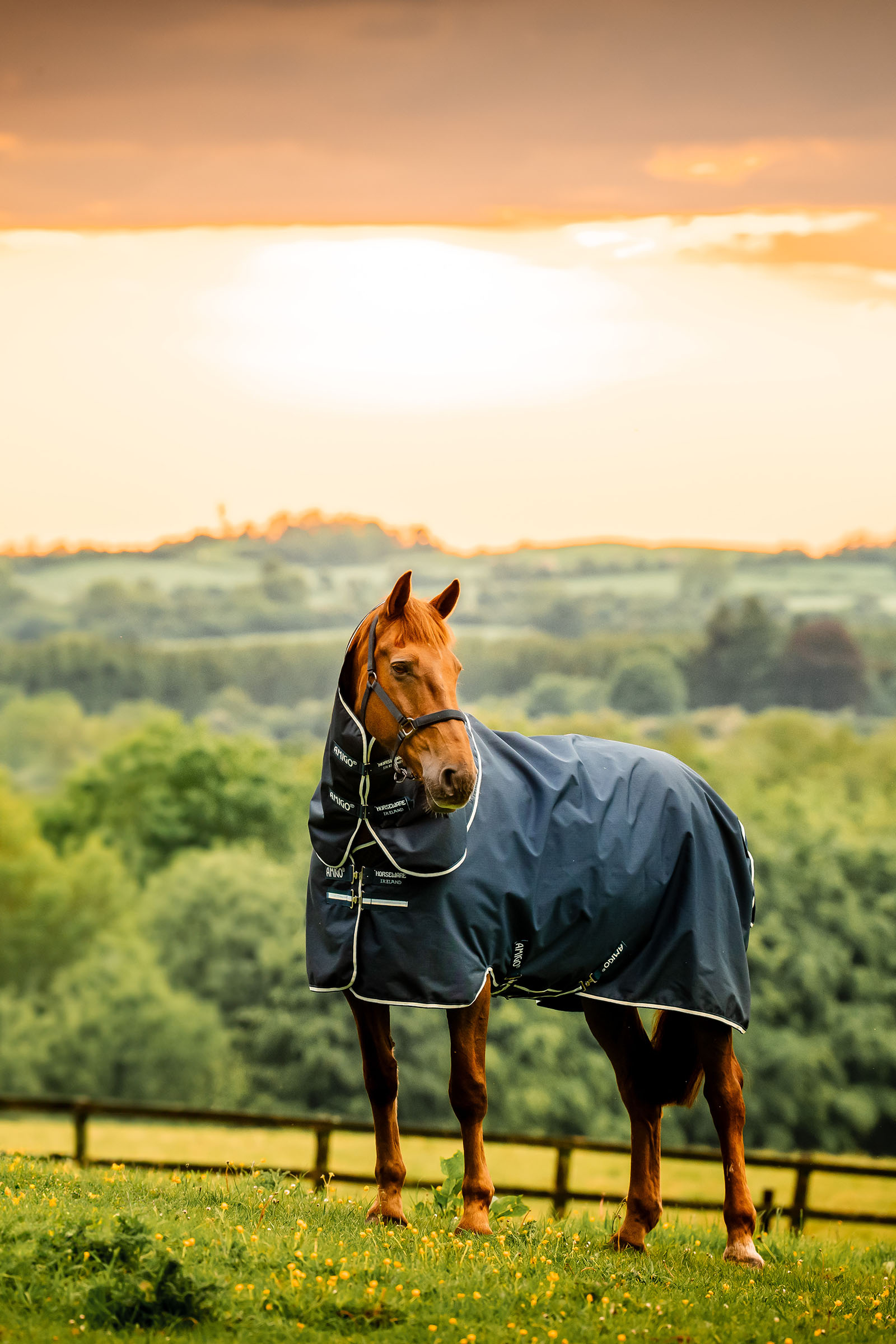 Witney Navy Horseware Amigo Ripstop 900D Plus manta de exterior con cuello desmontable, 100 g