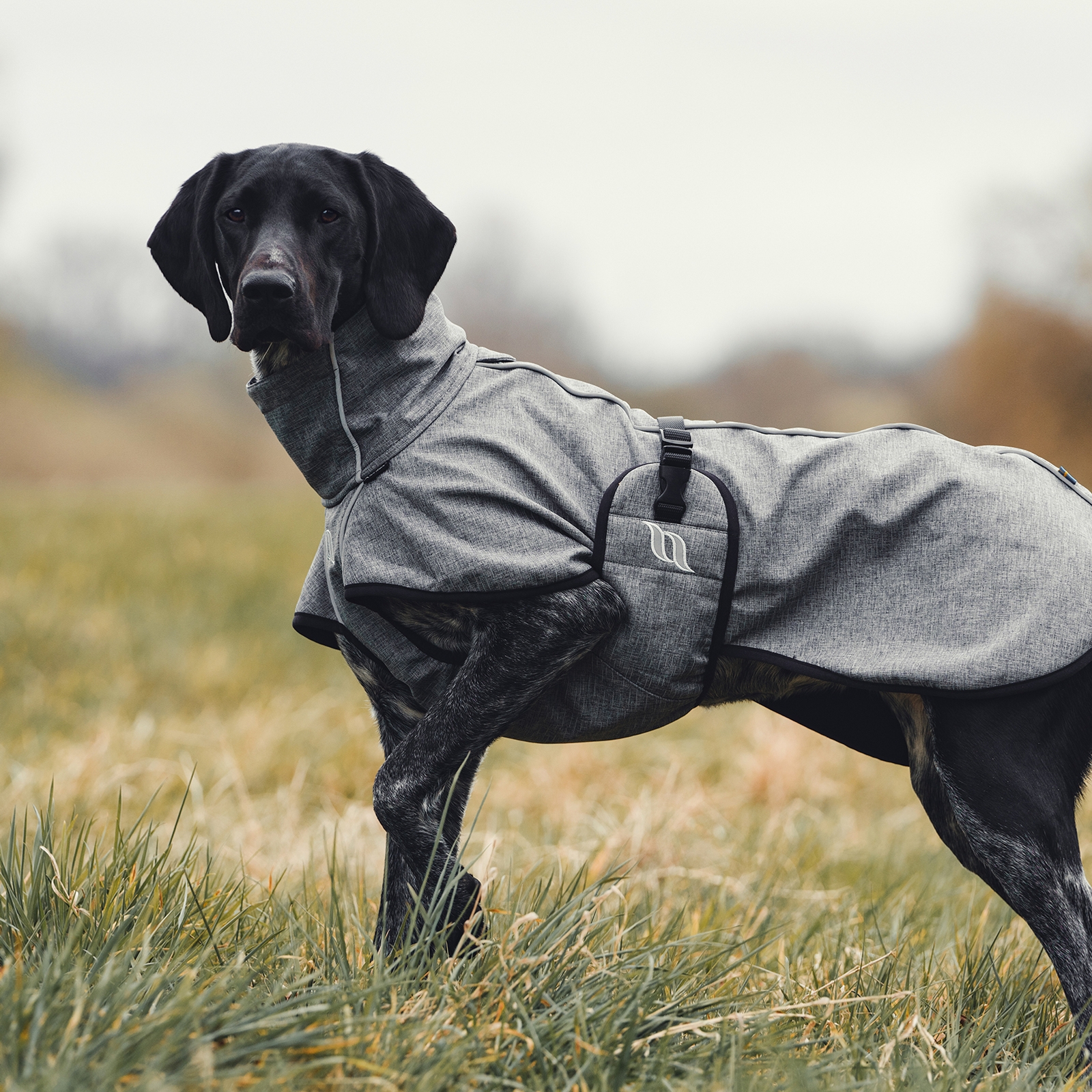 Abrigo para Perro Uso General Back on Track Nella, 40-50cm