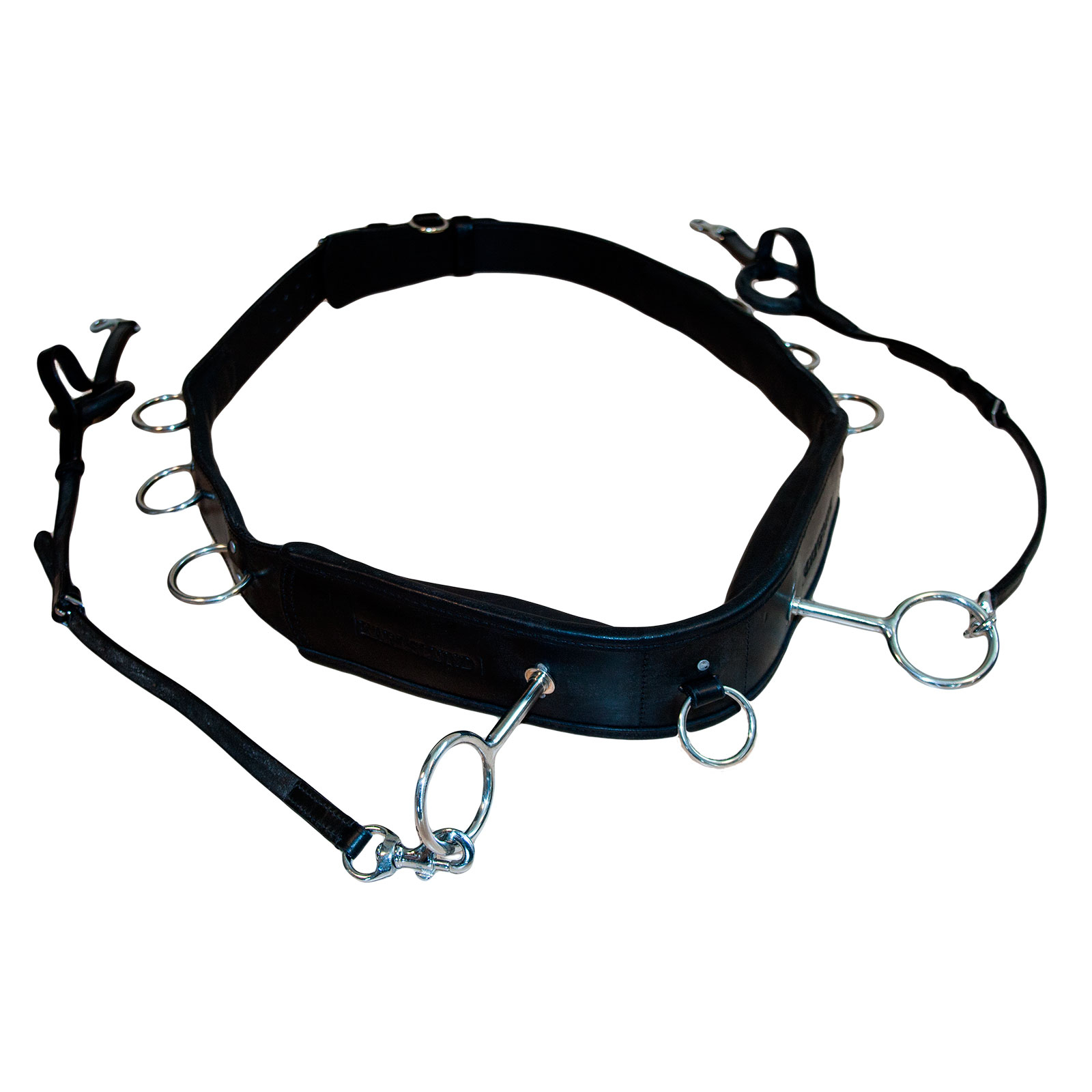 Circunferencia de Karlslund