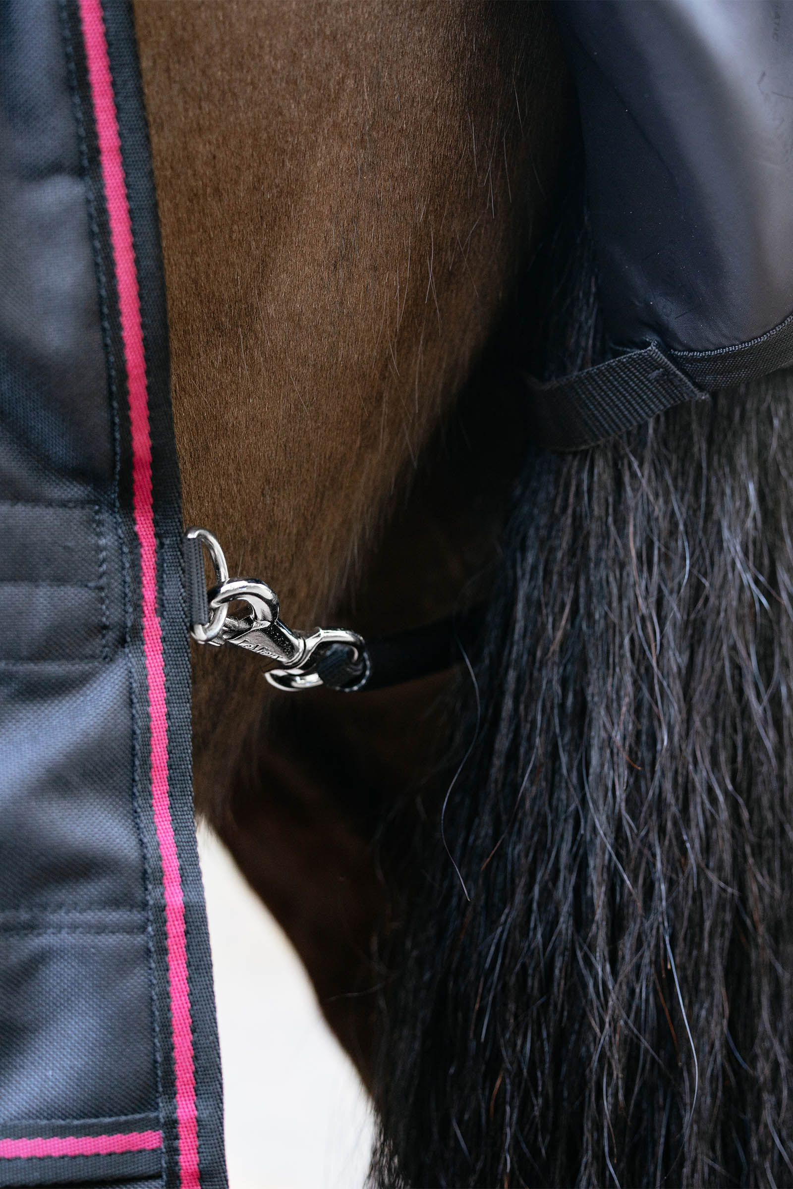 LeMieux Arika Storm-Tek manta de exterior con cuello desmontable, 50 g