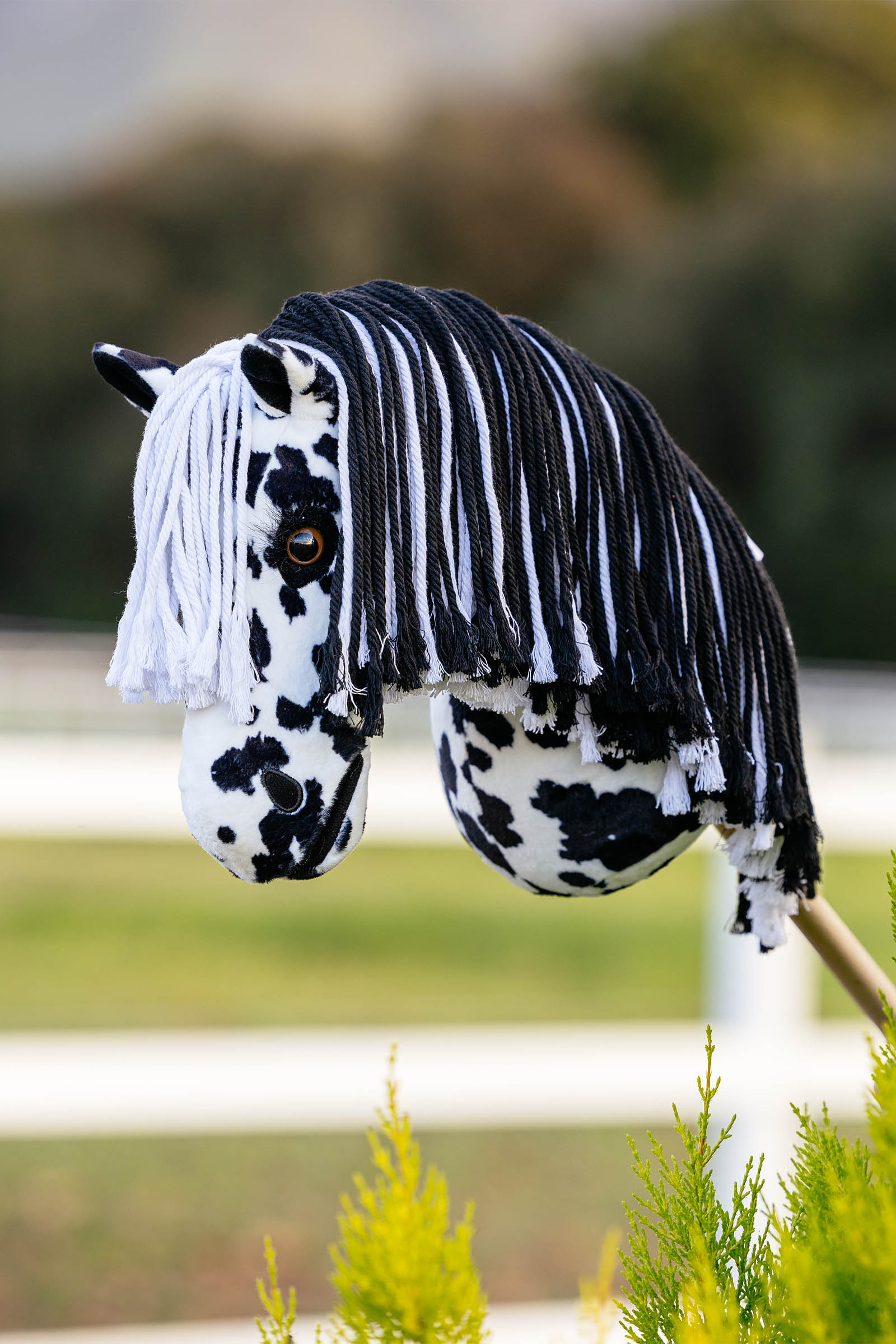 LeMieux Dakota caballo de palo