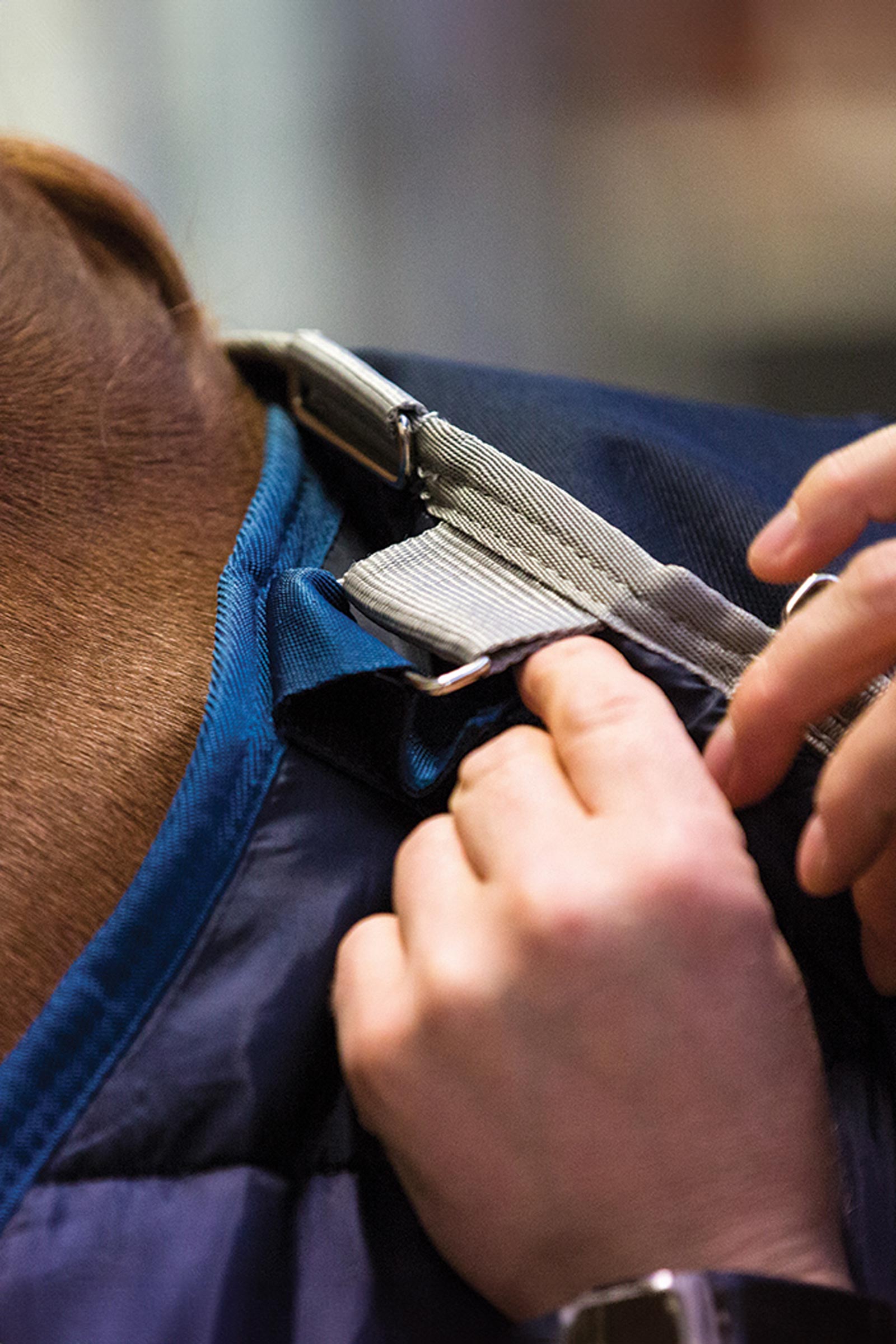 Horseware Liner manta interior, 200 g