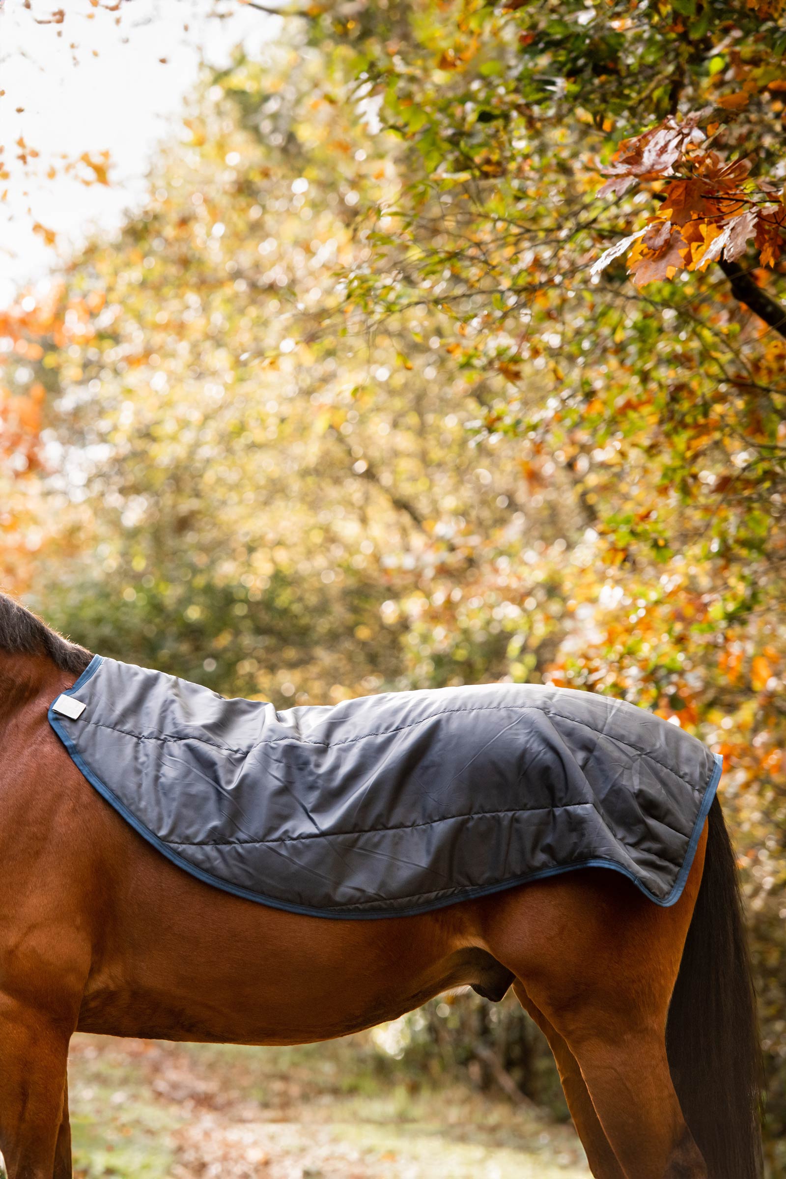 Horseware Rambo Autumn Series manta de exterior con manta interior (0 g / 100 g)