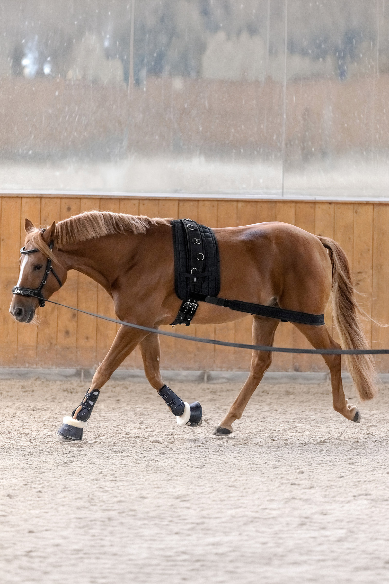 Waldhausen vendaje corporal para activaci&oacute;n del posterior