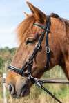 F.R.A. Freedom Riding Articles Pardoes de Luxe Sidepull con riendas (Sistema 3)