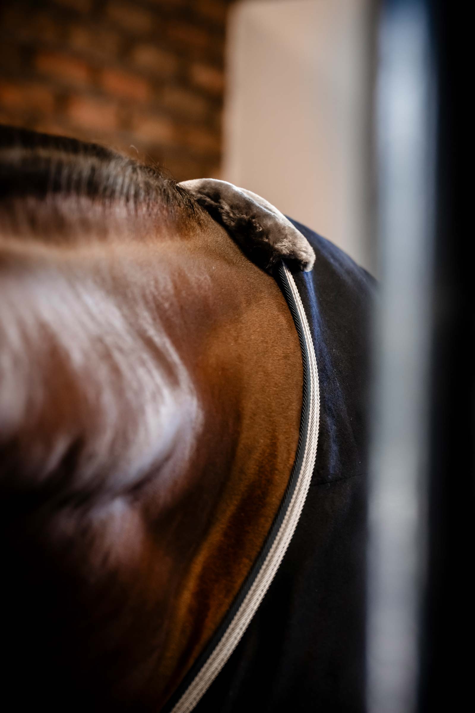 Bucas Emerald Wool Rug