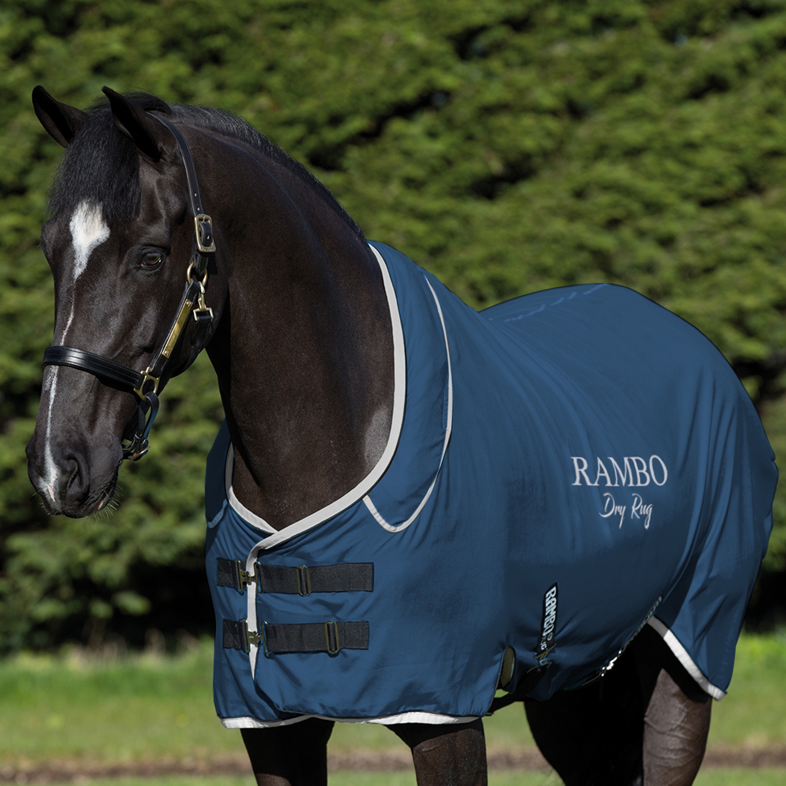 Alfombra Seca Horseware Rambo Supreme