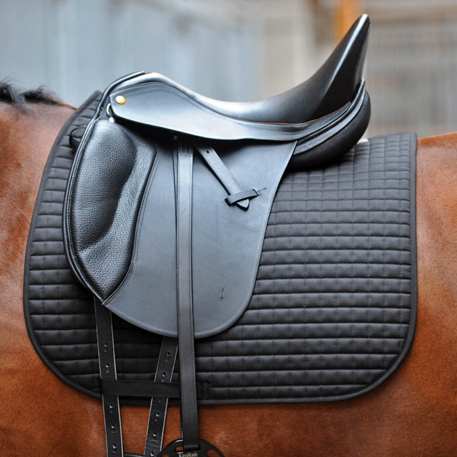 Kavalkade Mantilla KavalEasy Dressage