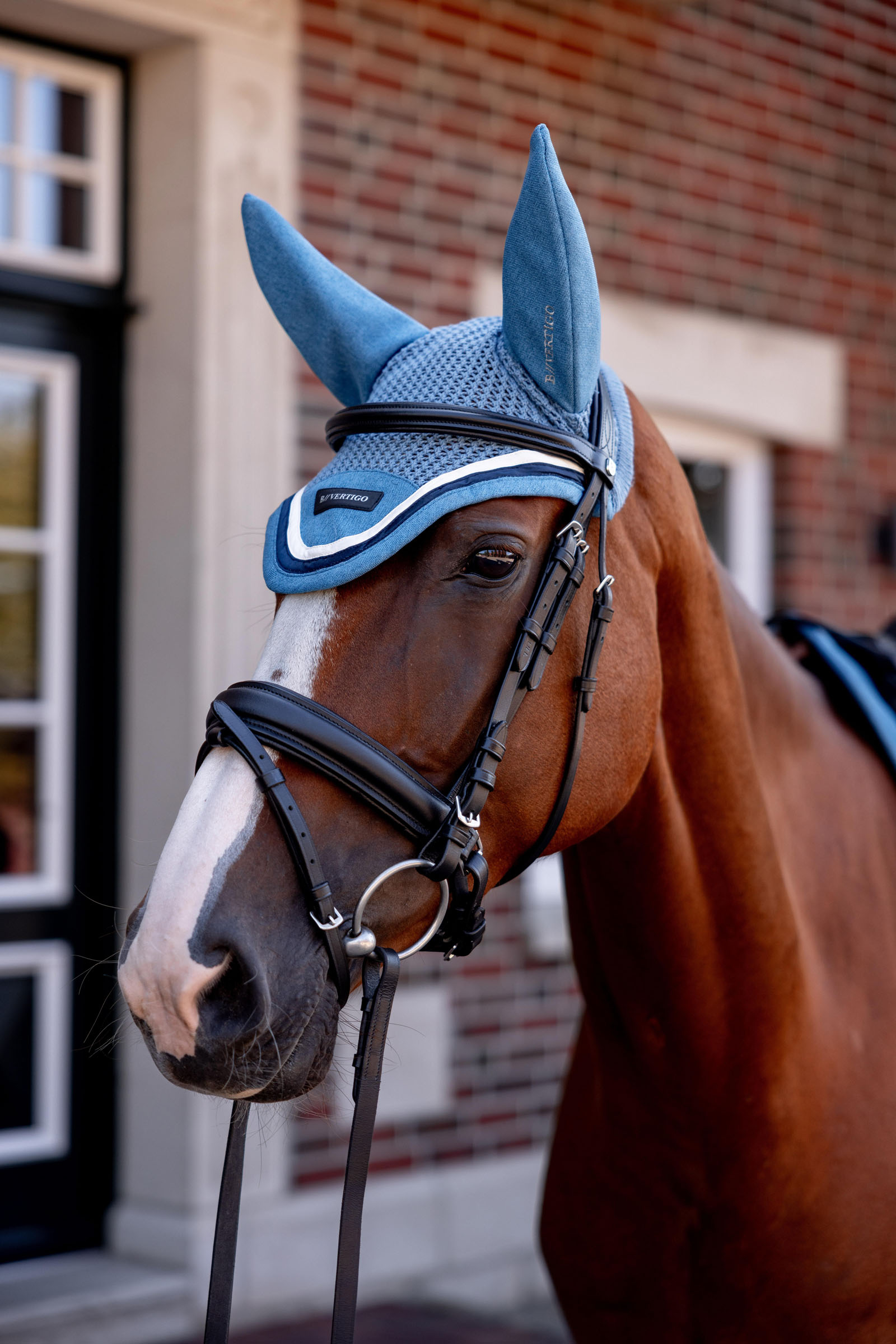 B Vertigo High Altitude orejera