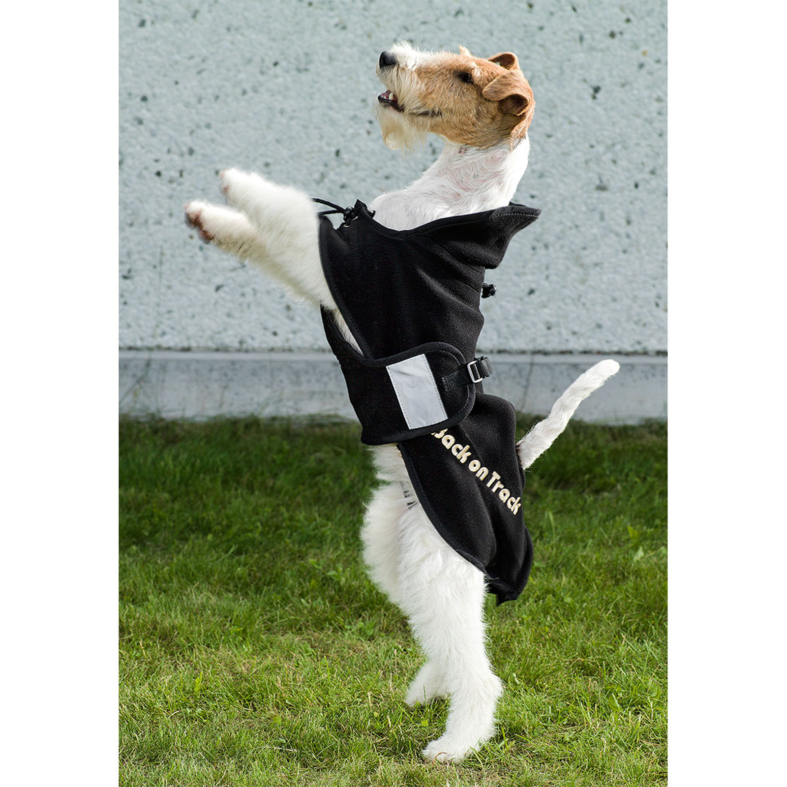 Manta Polar para Perro Back on Track, 21-34