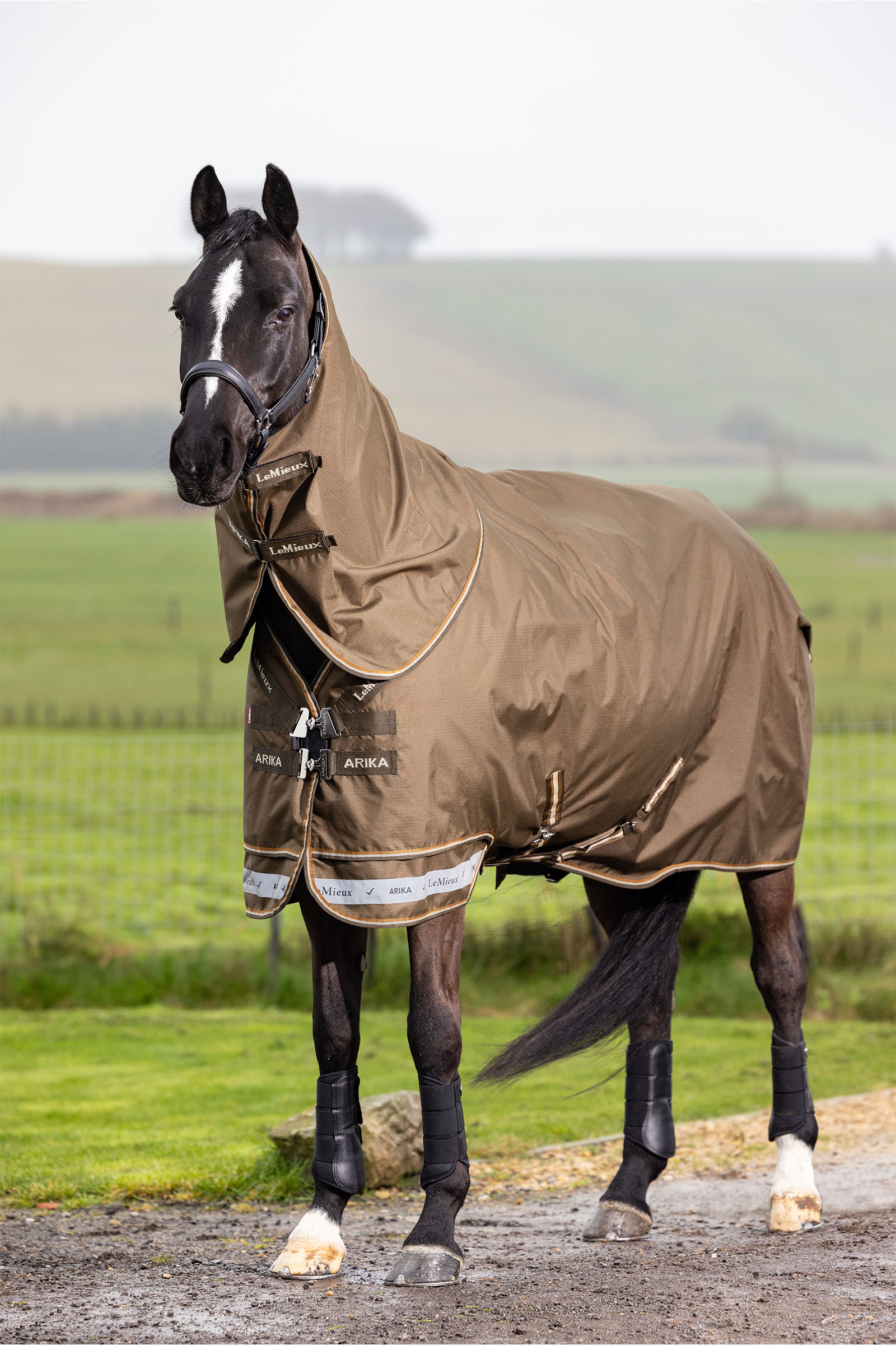 LeMieux Arika Ripstop Turnout Rug With Detachable Neck, 0 g