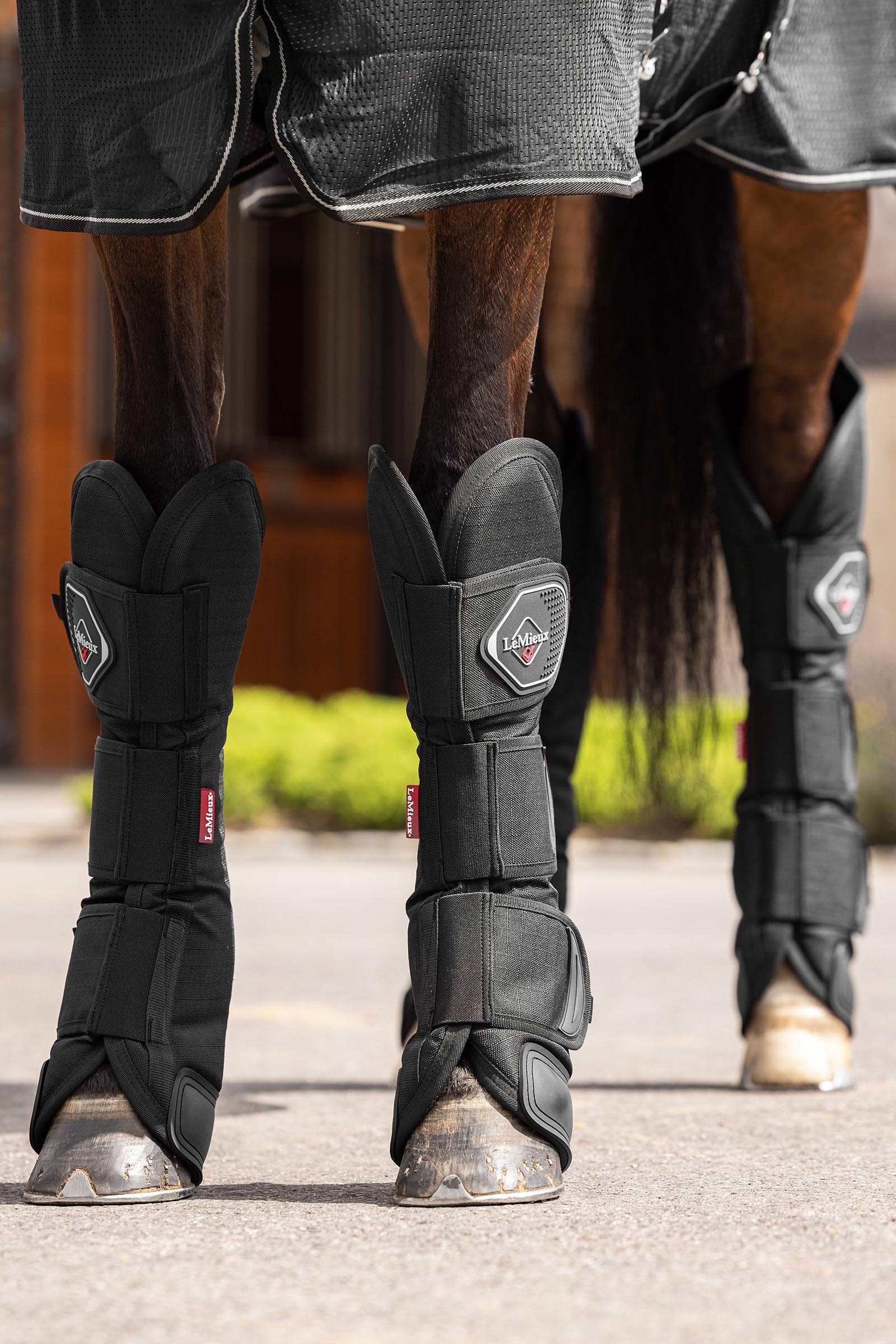 LeMieux protectores de transporte