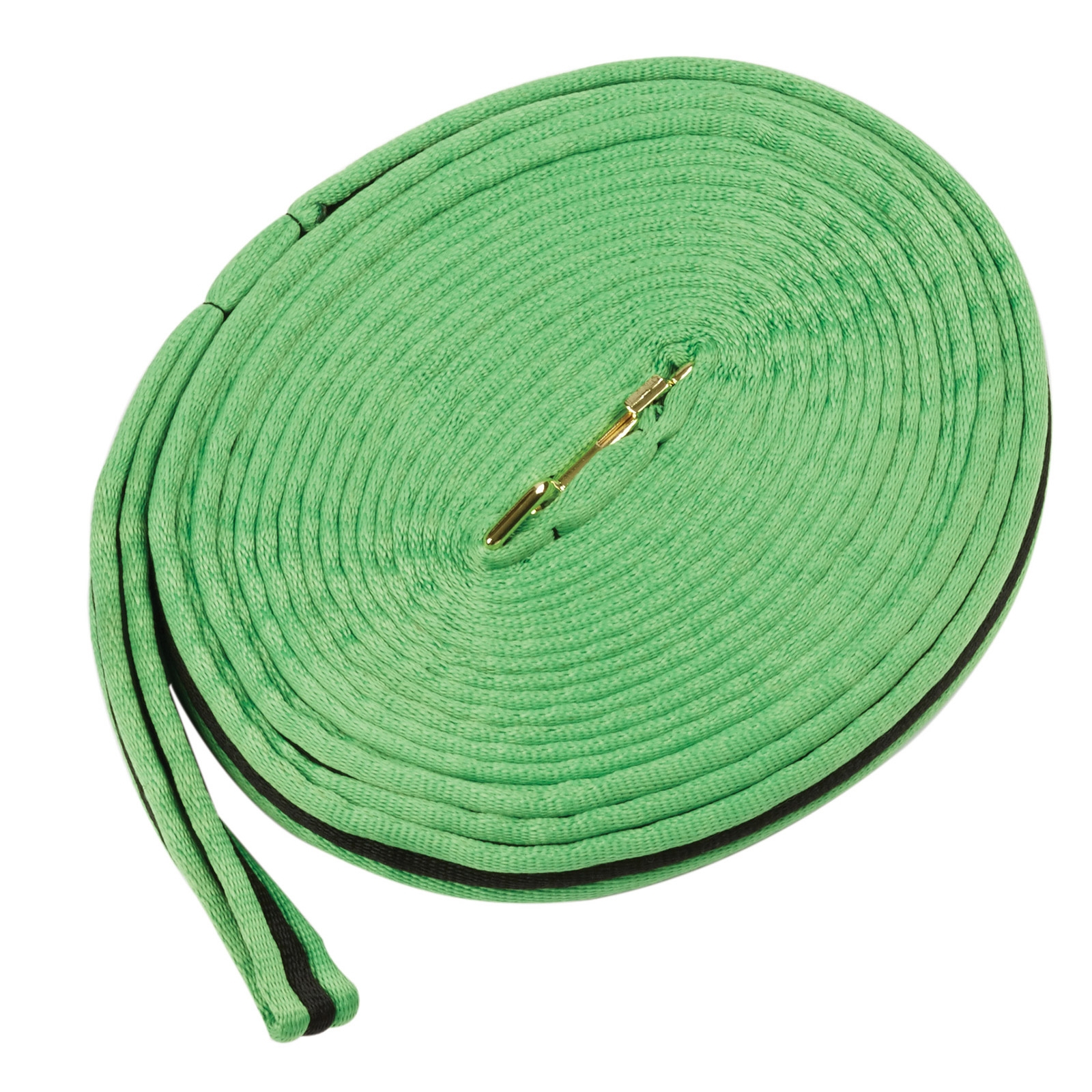 Lime Green/Black Kincade Brights Rienda de cuerda acolchada bicolor 8m