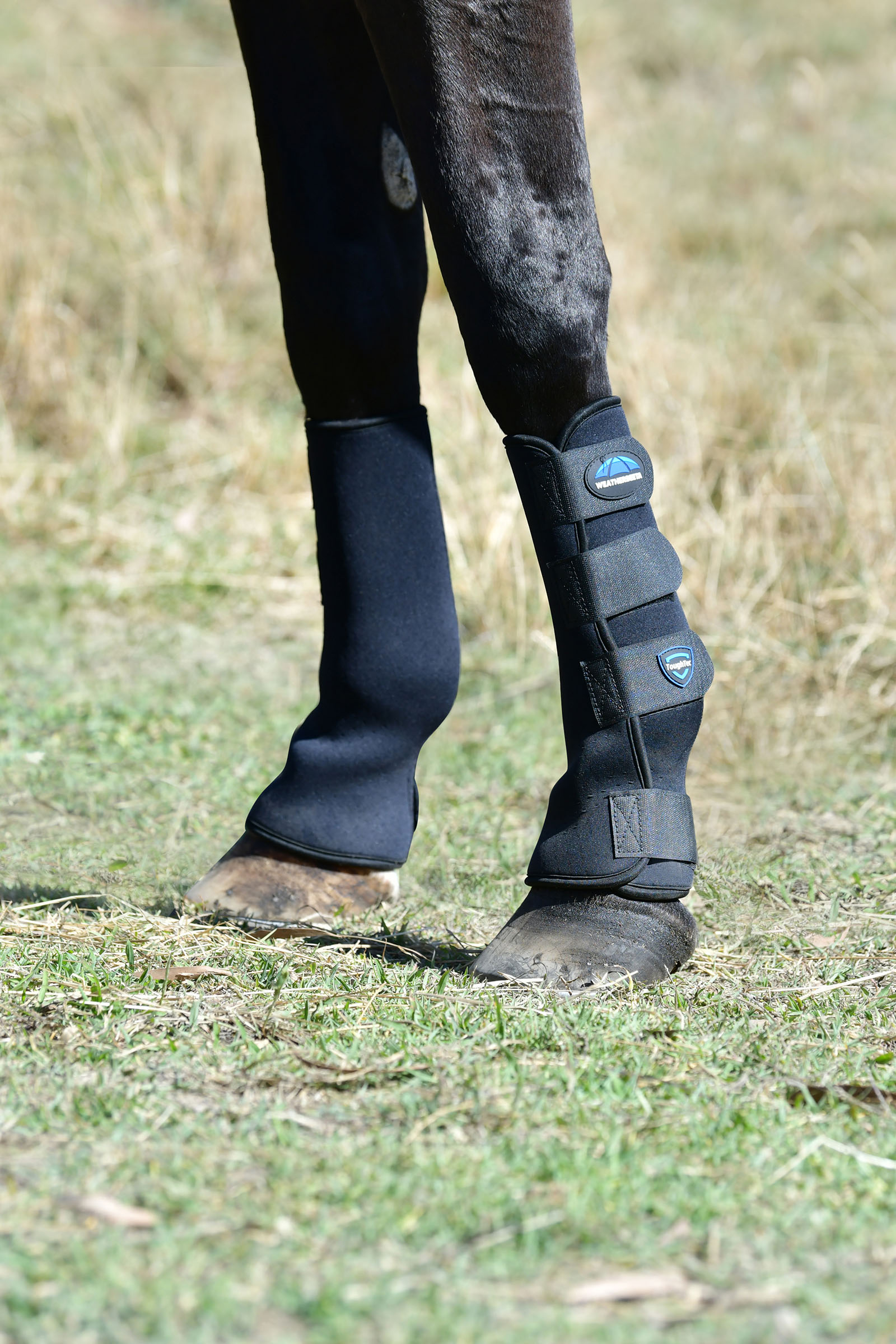 Weatherbeeta Tough-Tec Botas de turnout