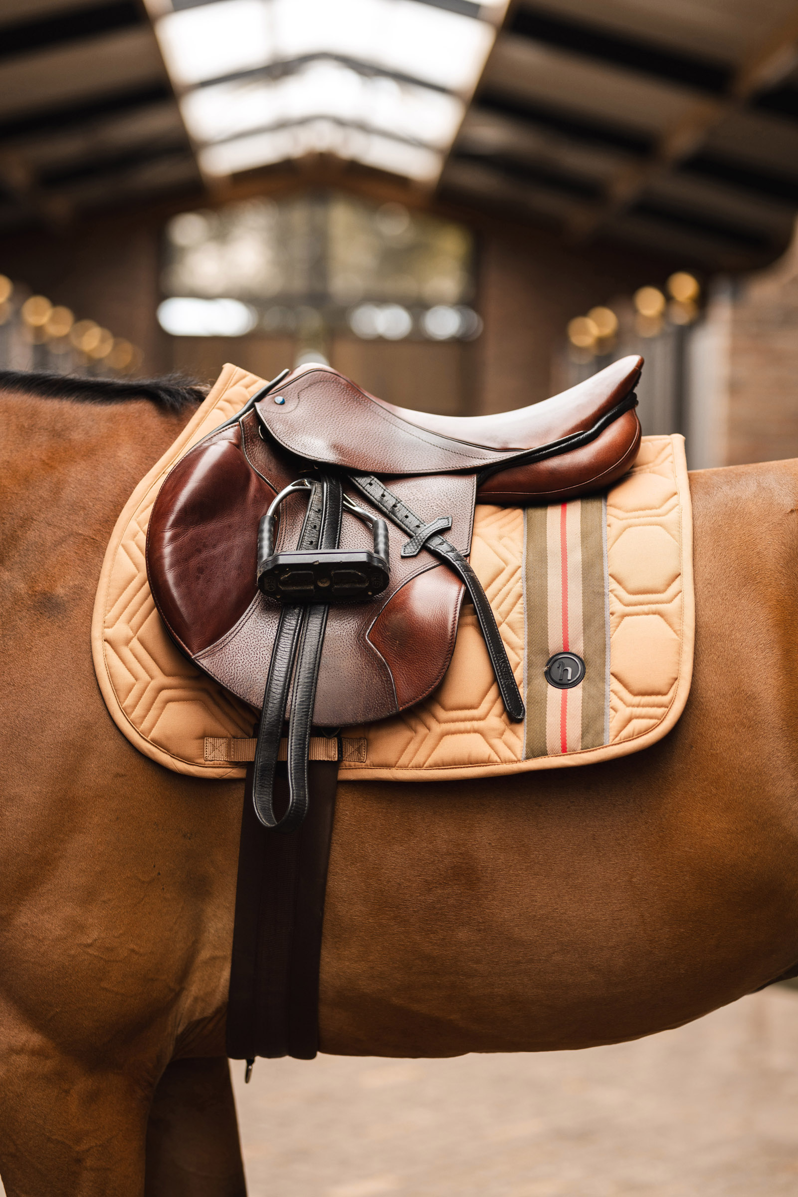 Mantilla de Salto Horze High Life