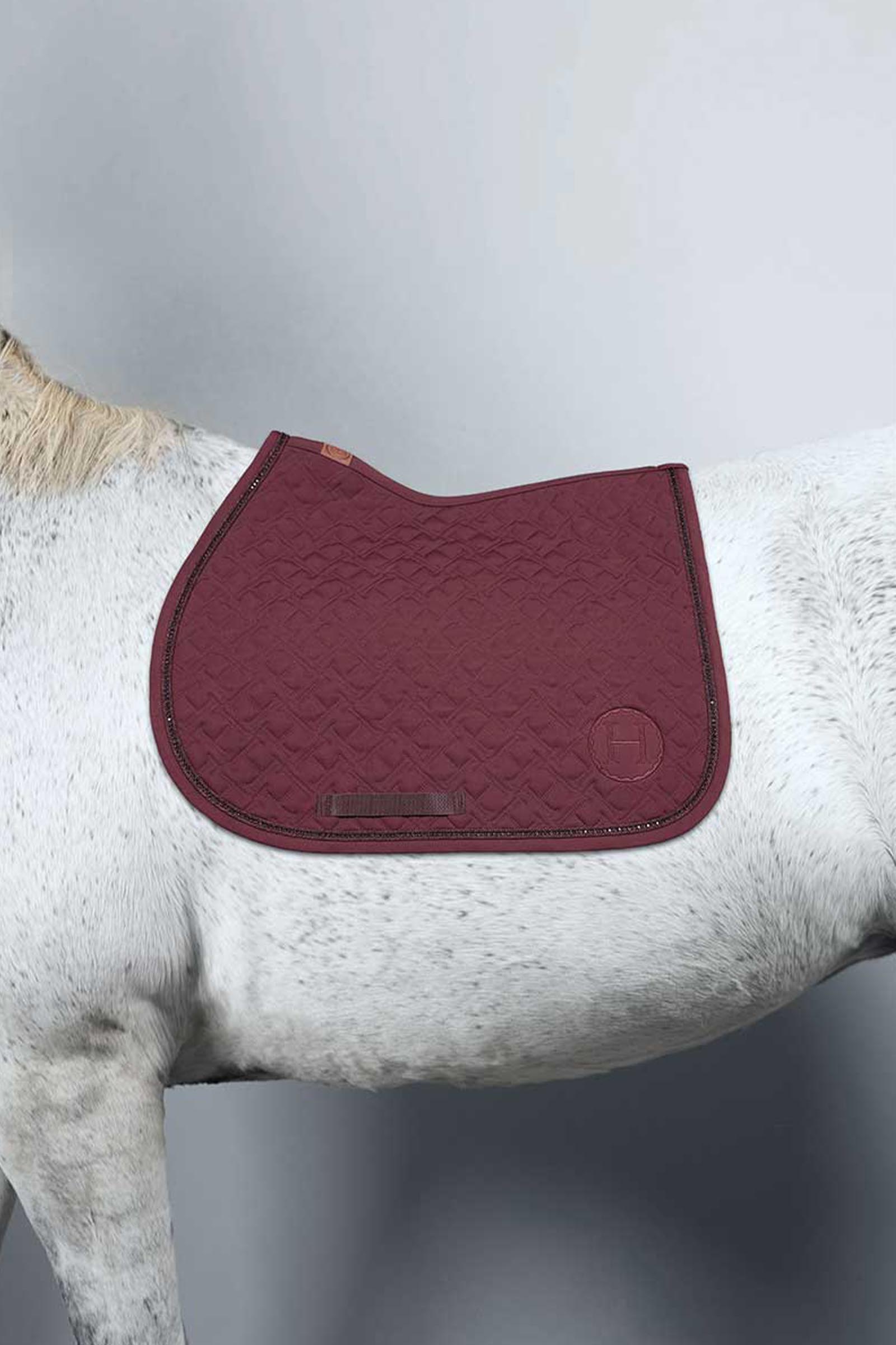Harcour Saphir mantilla pony