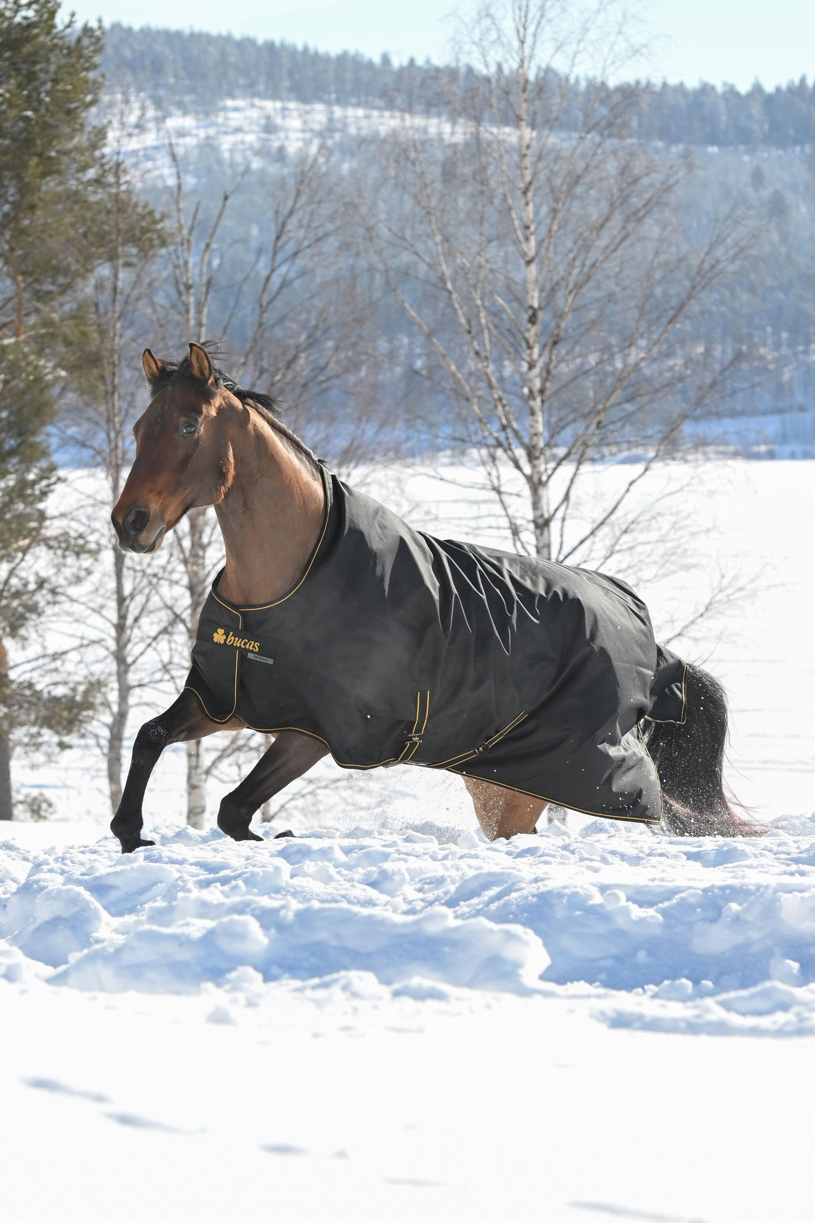 Bucas Irish manta de exterior, 300g