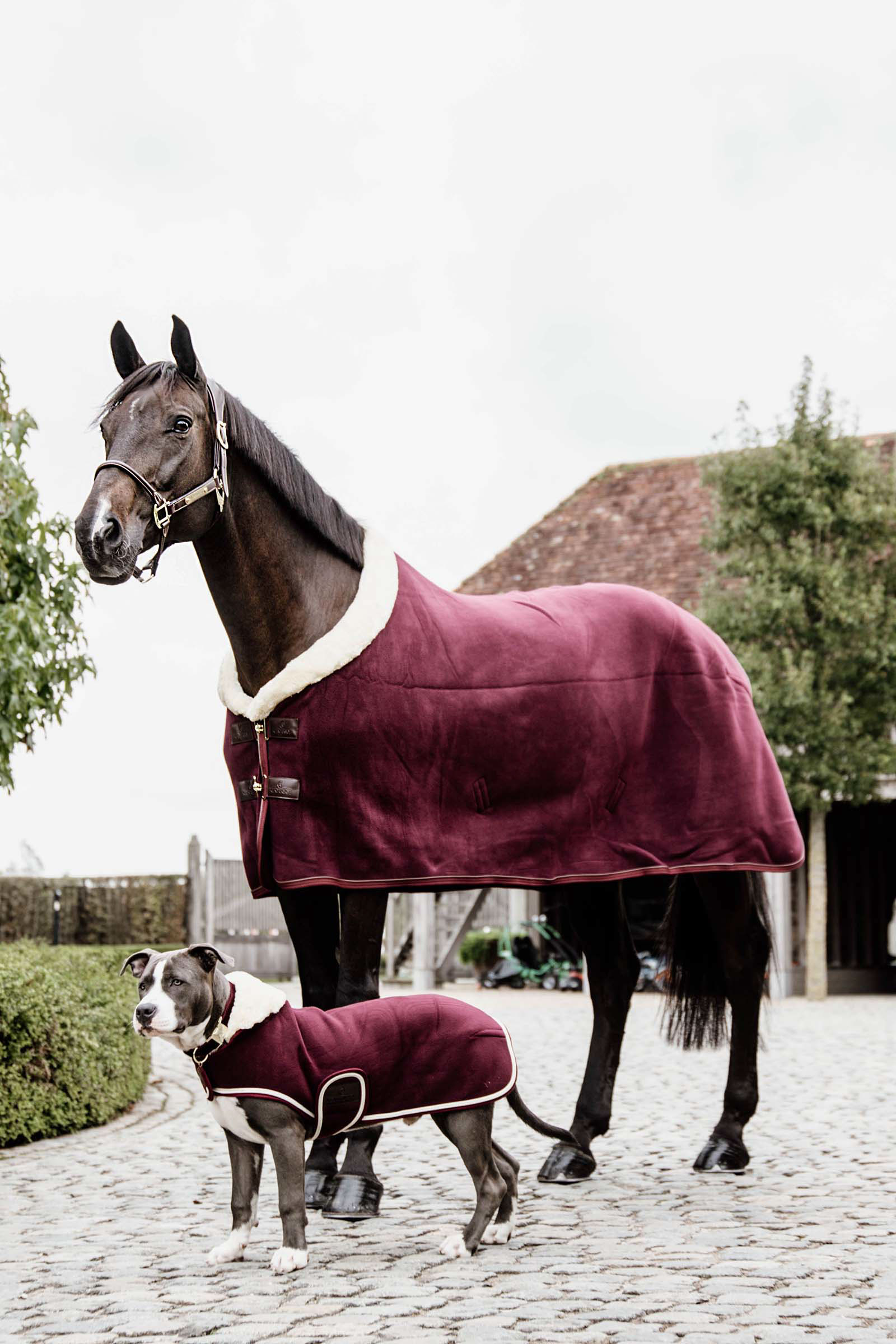 Manta de exhibición de forro polar Kentucky Horsewear