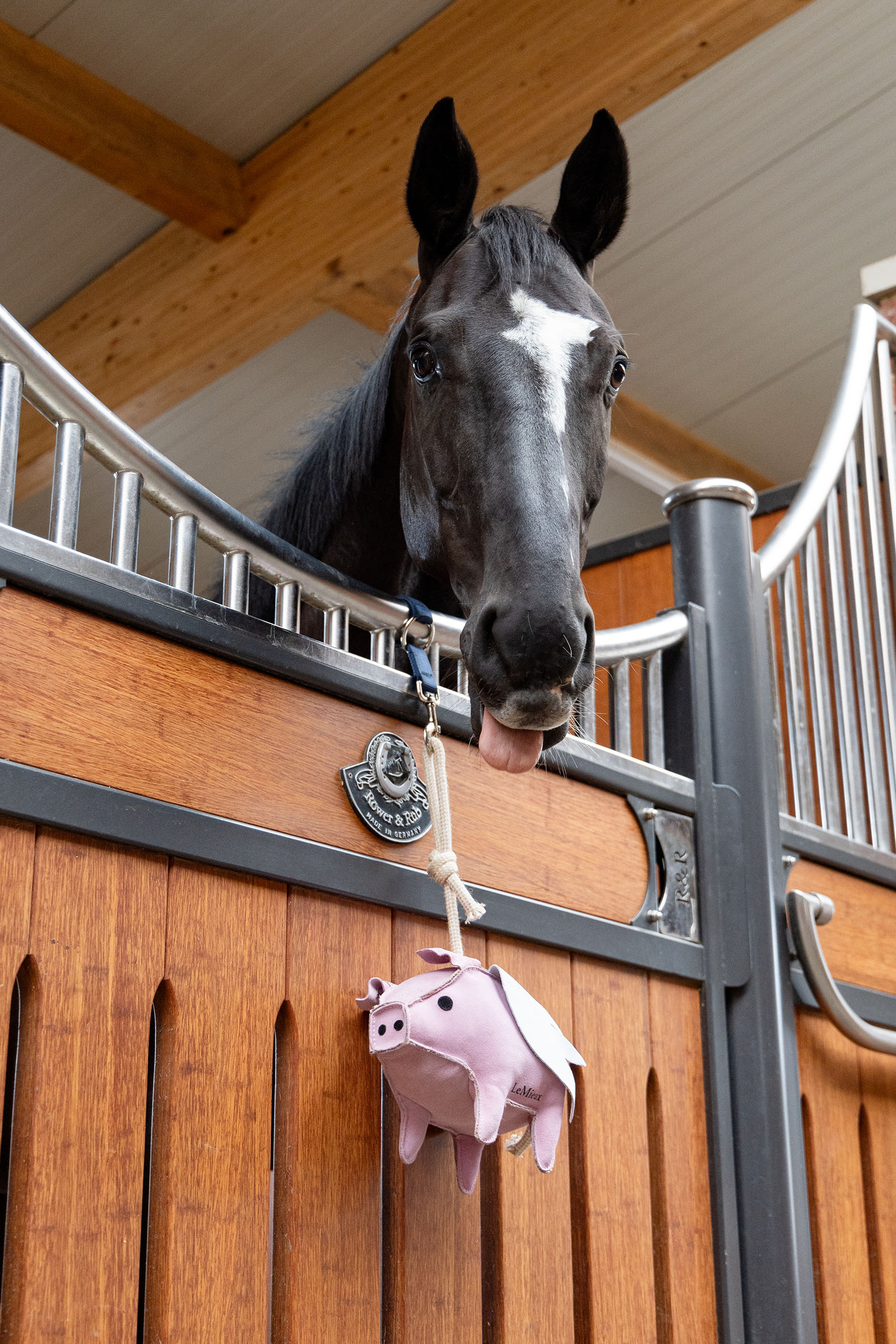 LeMieux juguete para caballos cerdito volador