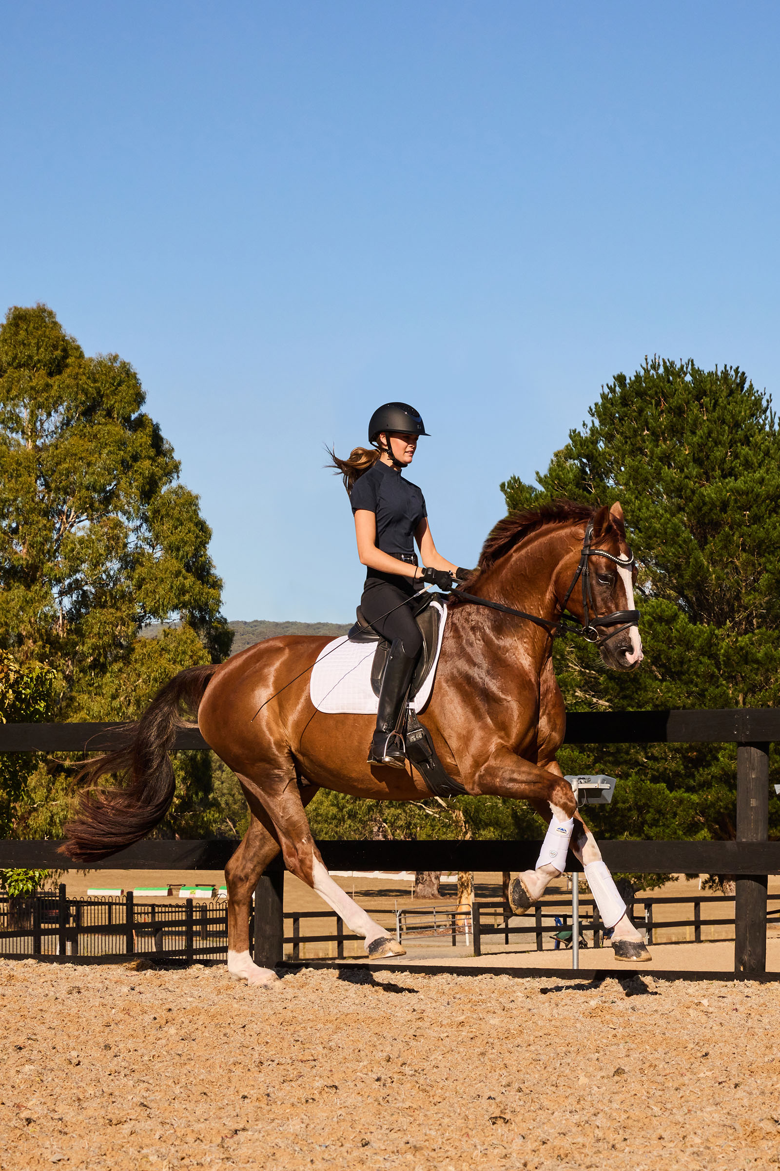 Weatherbeeta Tough-Tec Prime Protectores doma