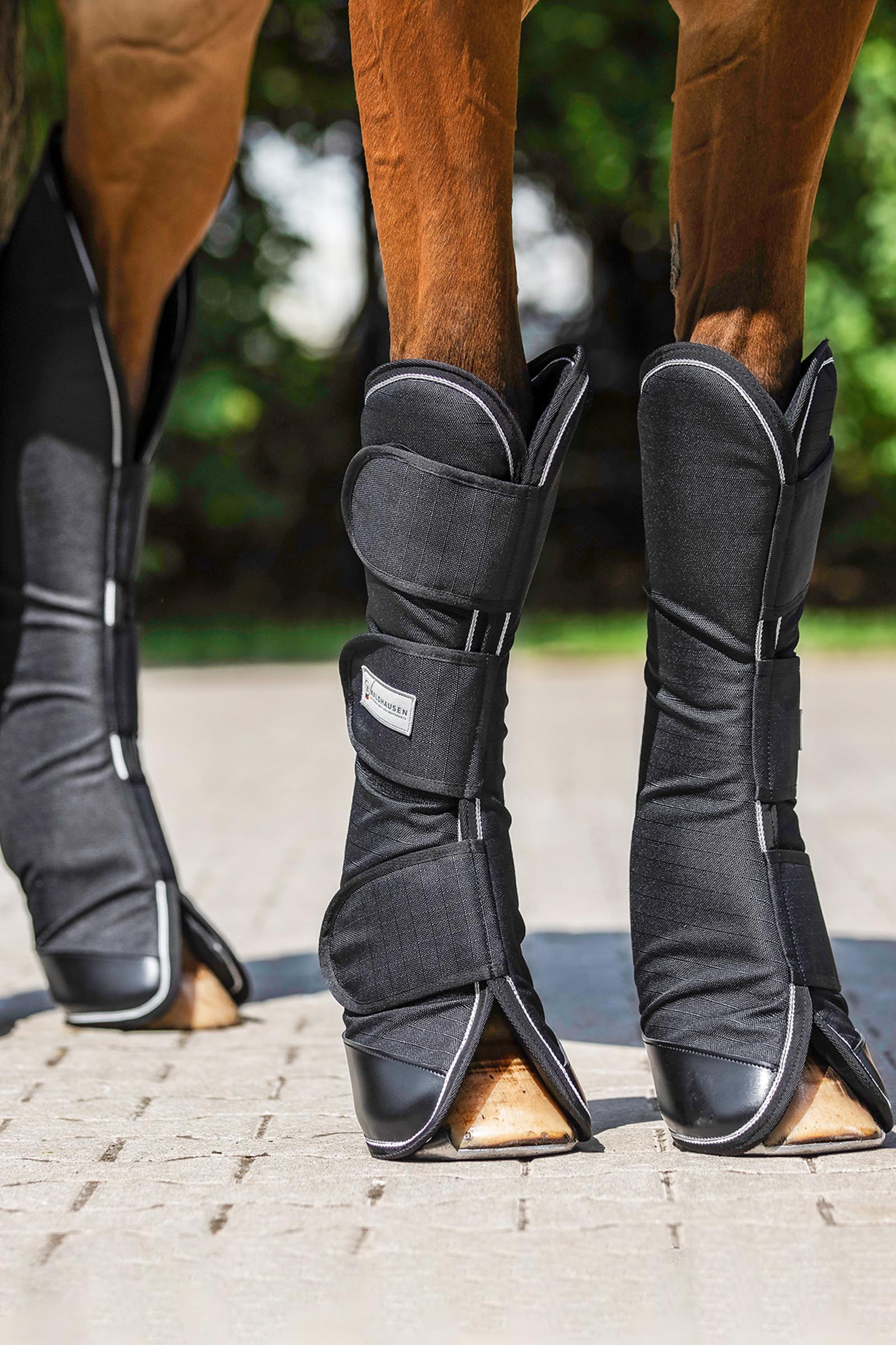 Waldhausen Comfort Line protectores de transporte (juego de 4)