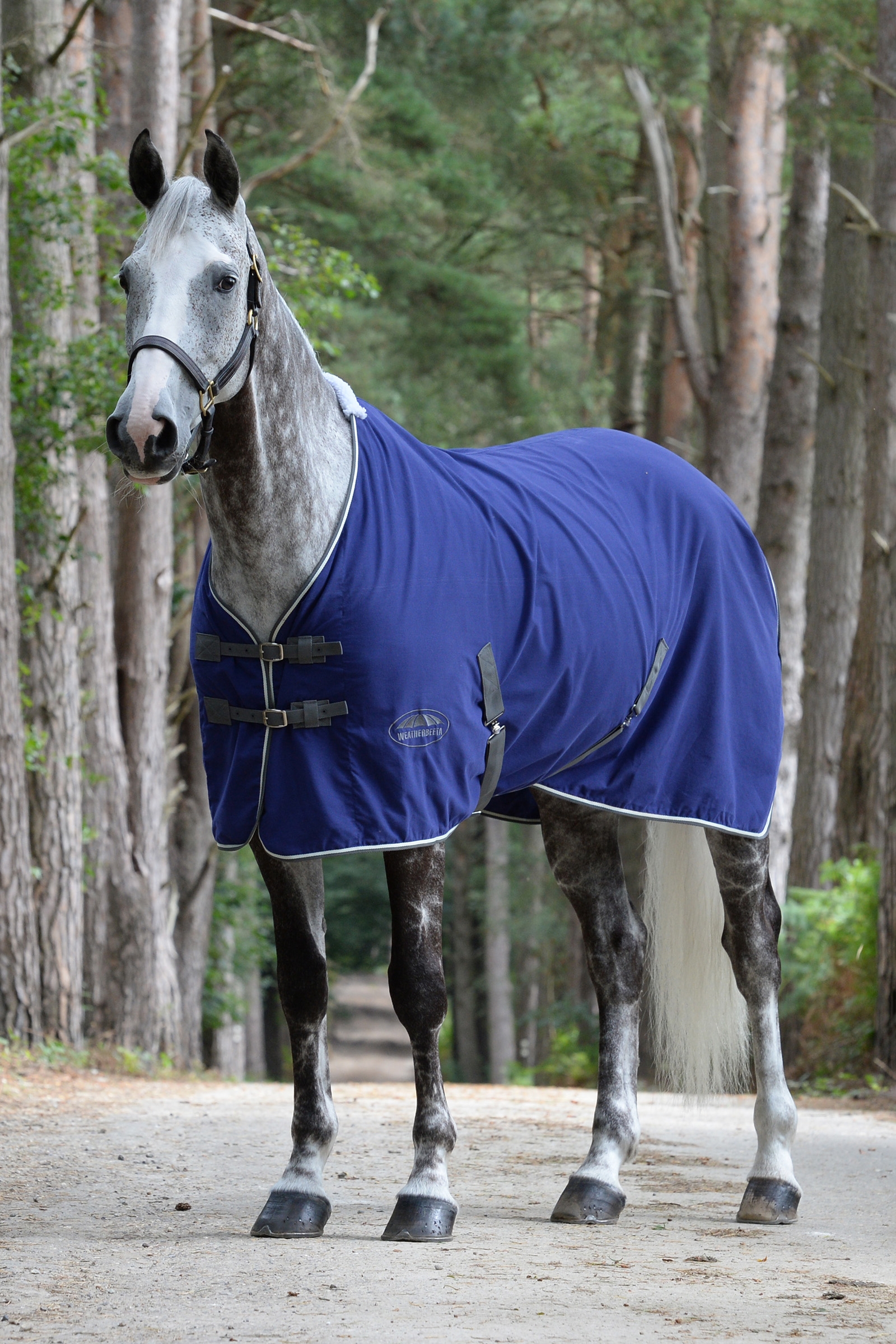 Manta de Concurso de Algodón Weatherbeeta