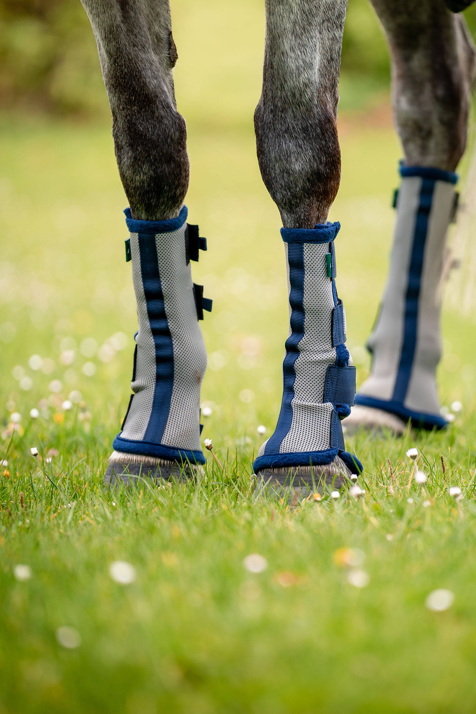 Horseware Fly Boots - juego de 2