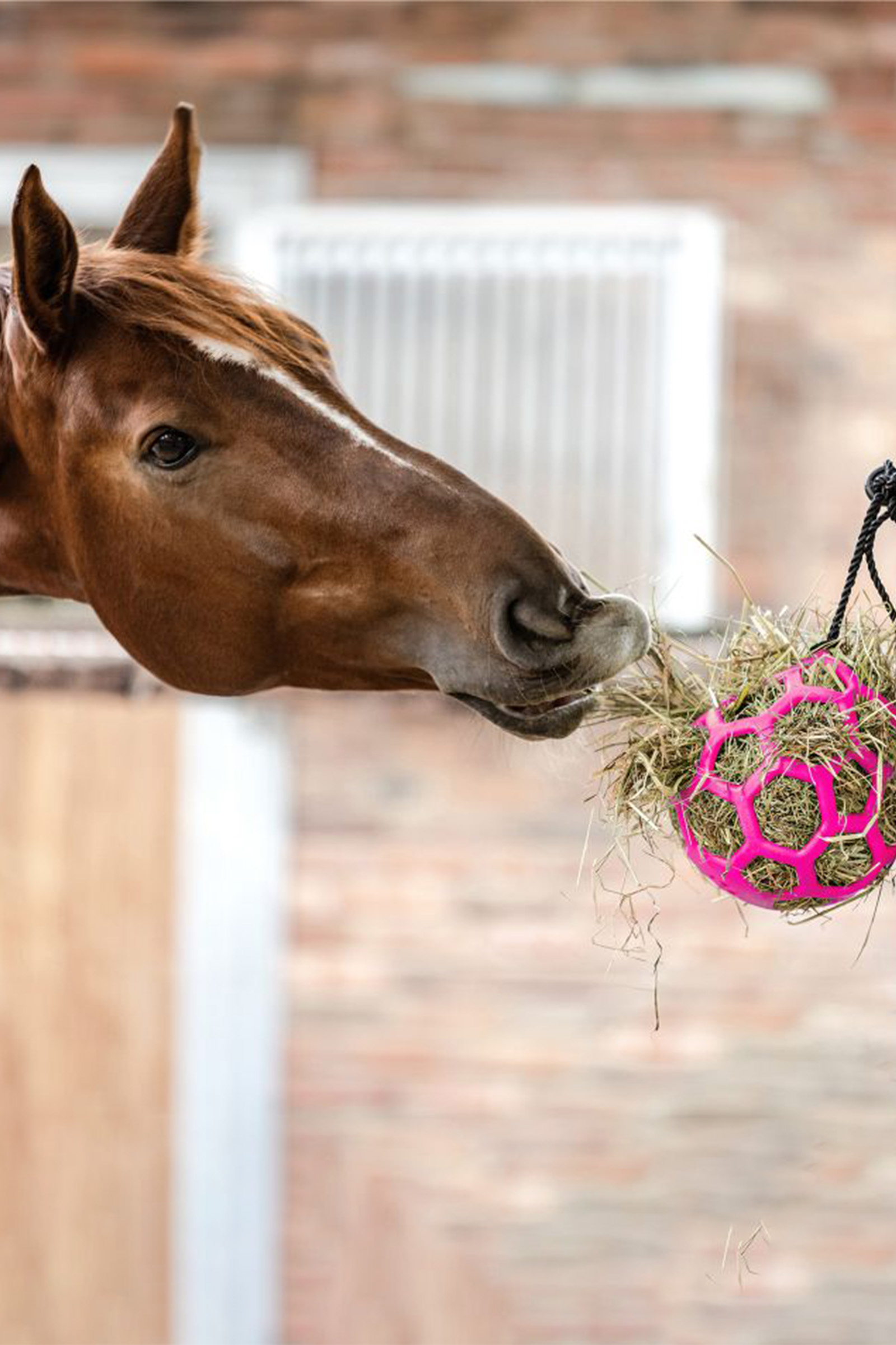 Waldhausen pelota de heno