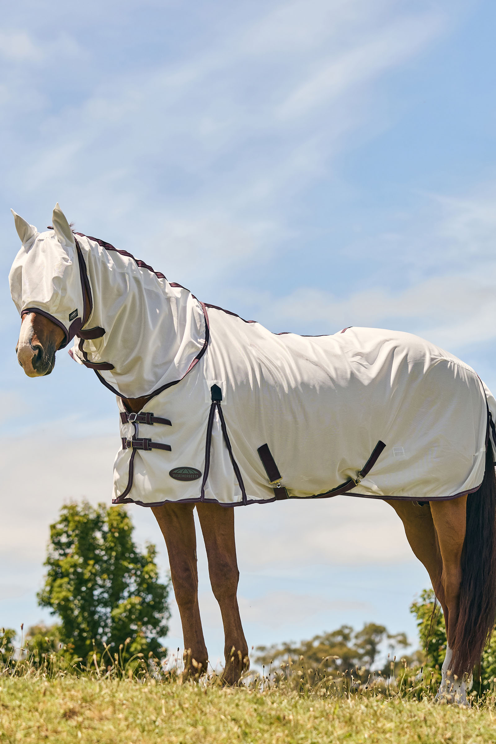 Weatherbeeta Comfitec Essential m&aacute;scara de malla