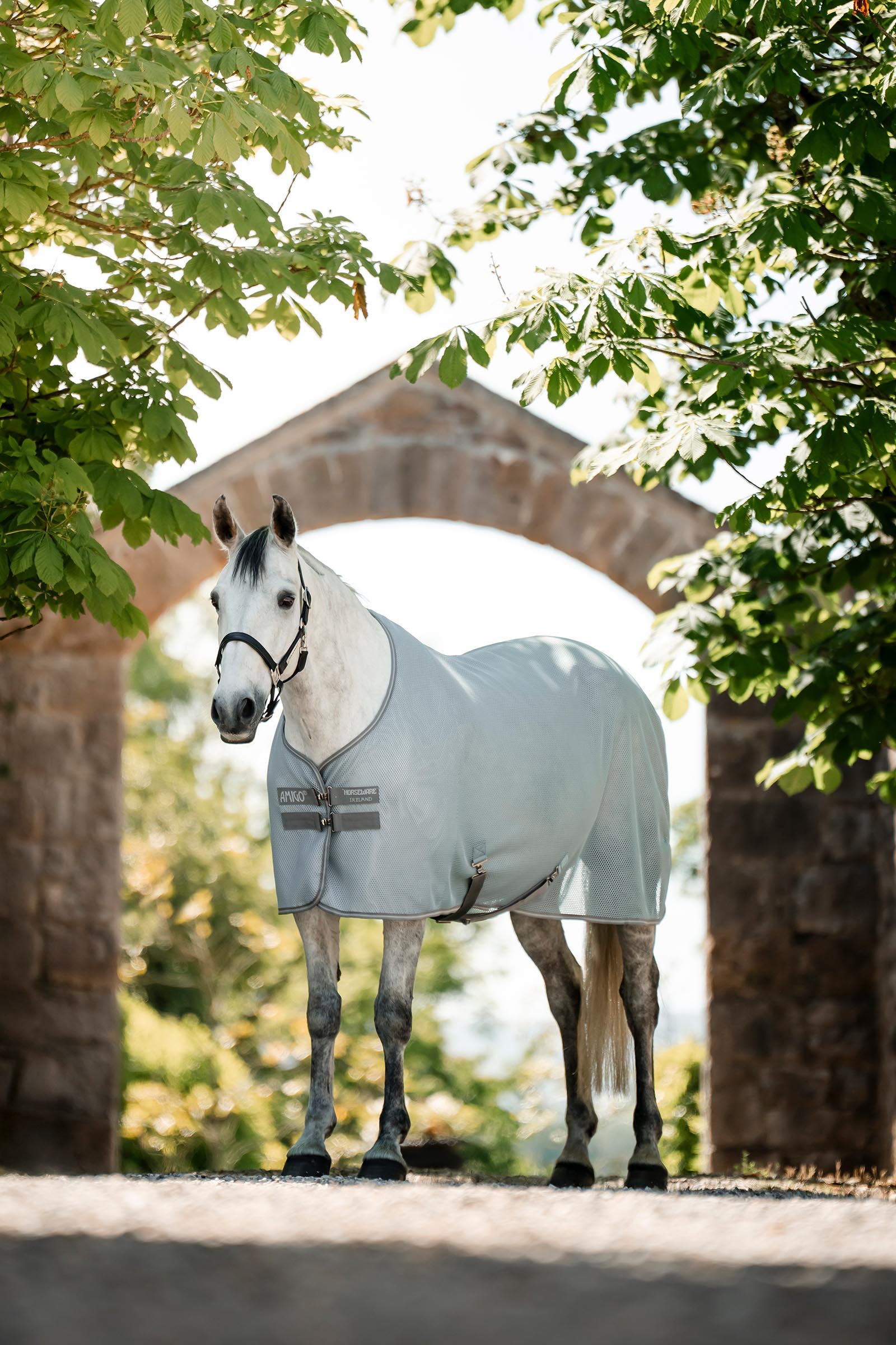 Horseware Amigo AirNet manta secante