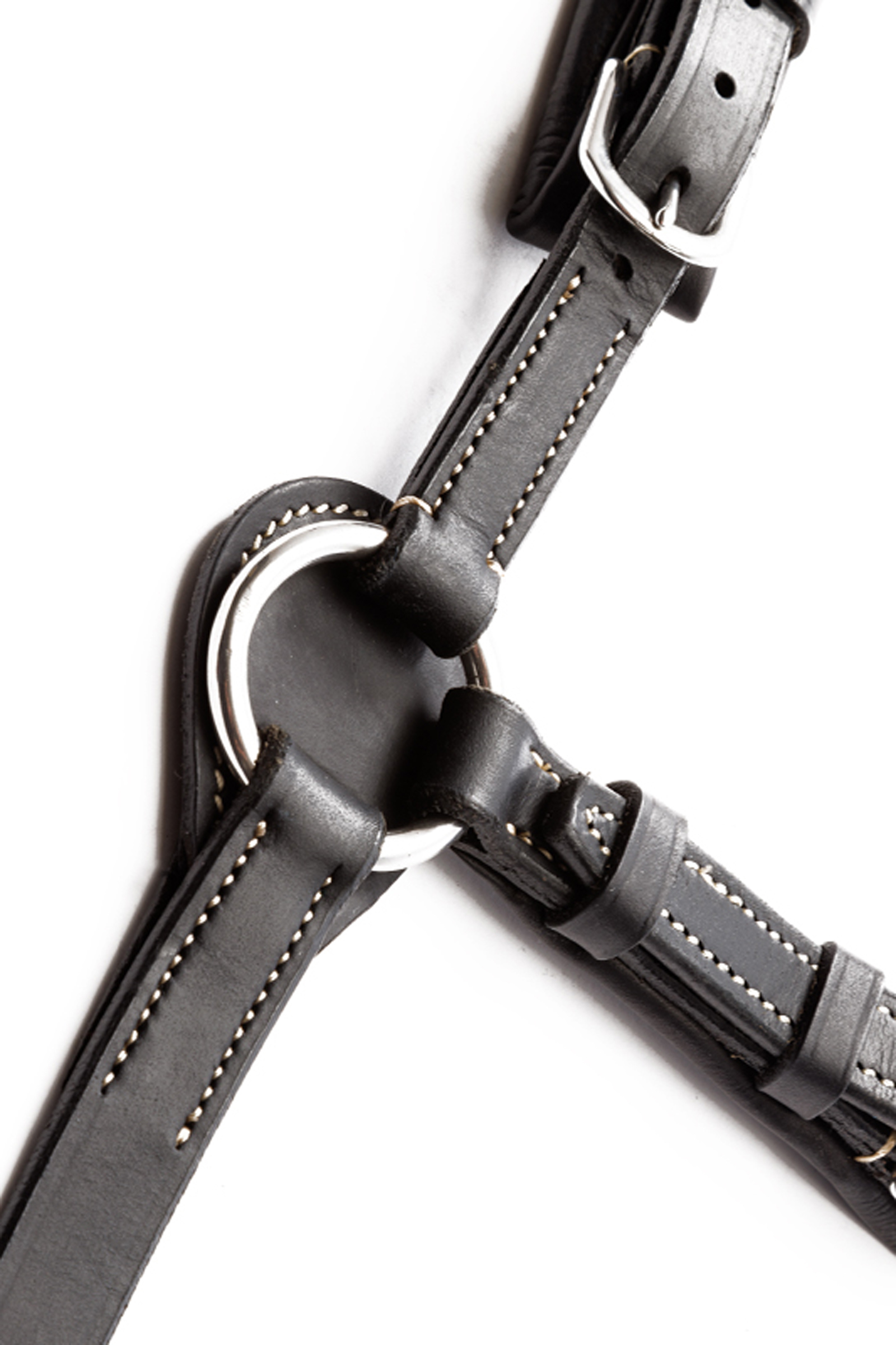 Kavalkade Jerome Pechera de 2 Puntos